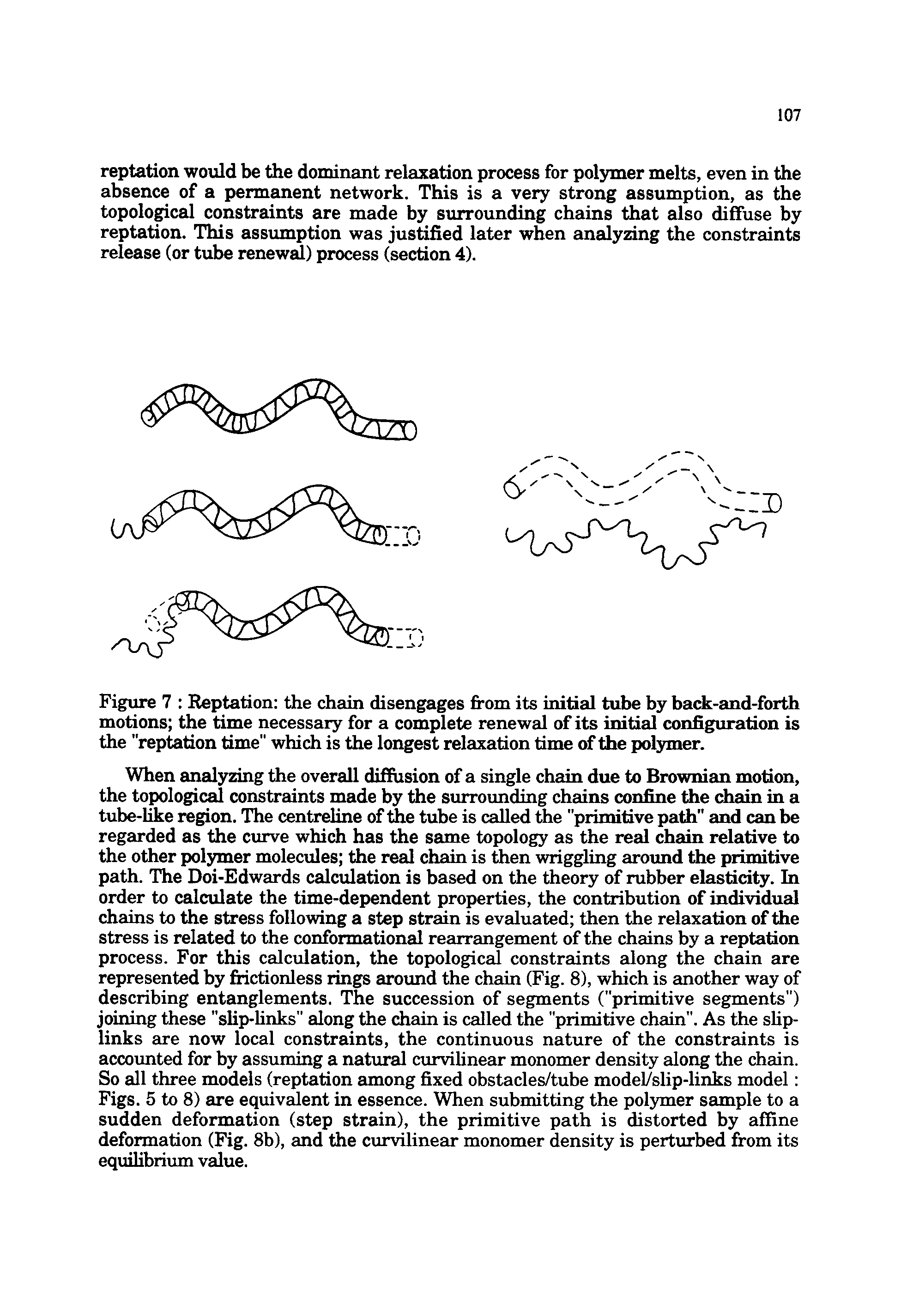 Figure 7 Reptation the chain disengages fi-om its initial tube by back-and-forth motions the time necessary for a complete renewal of its initial configuration is the "reptation time" which is the longest relaxation time of the polymer.