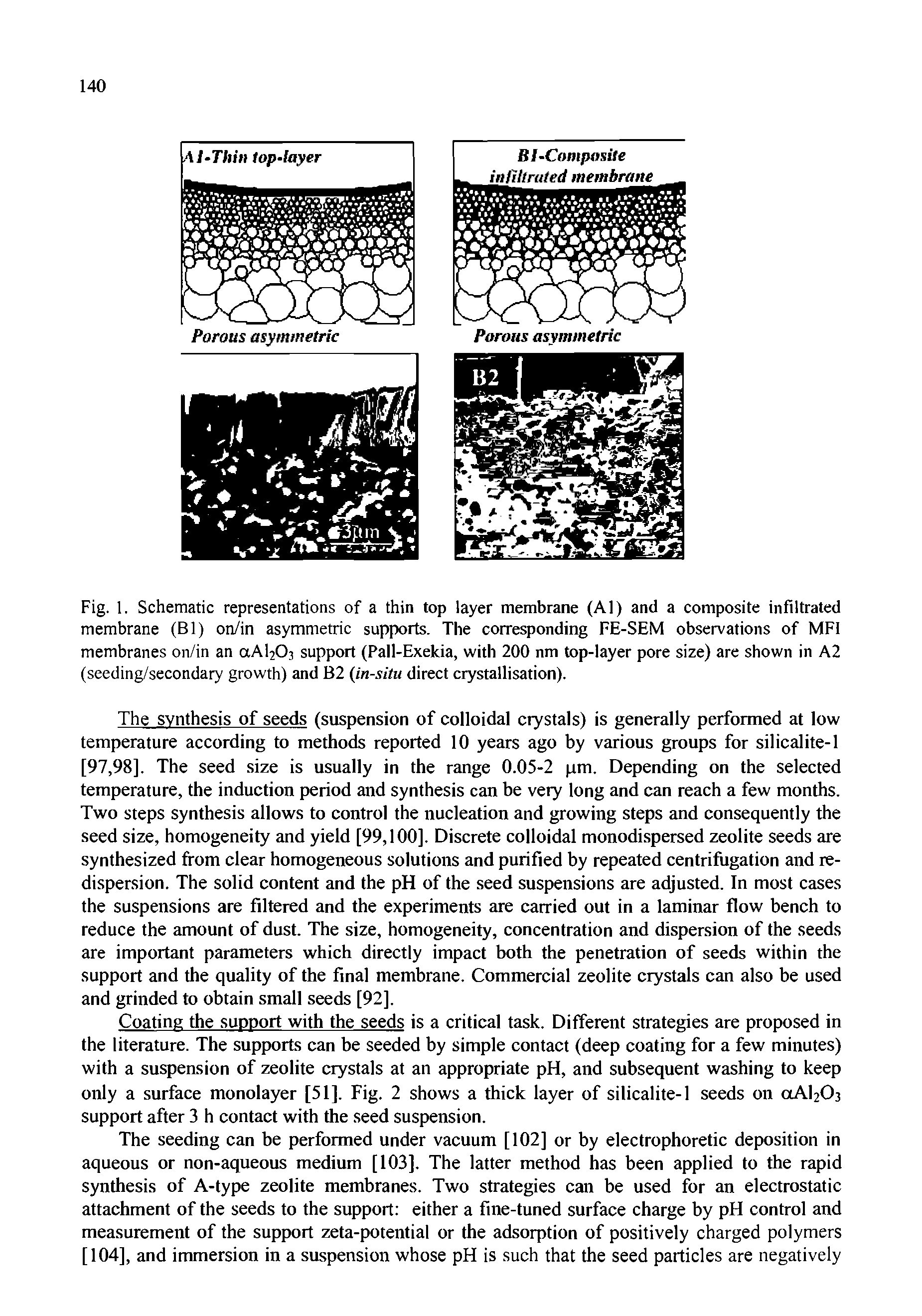 Fig. 1. Schematic representations of a thin top layer membrane (Al) and a composite infiltrated membrane (Bl) on/in asymmetric supports. The corresponding FE-SEM observations of MF1 membranes on/in an aAbO support (Pall-Exekia, with 200 nm top-layer pore size) are shown in A2 (seeding/secondary growth) and B2 (in-situ direct crystallisation).