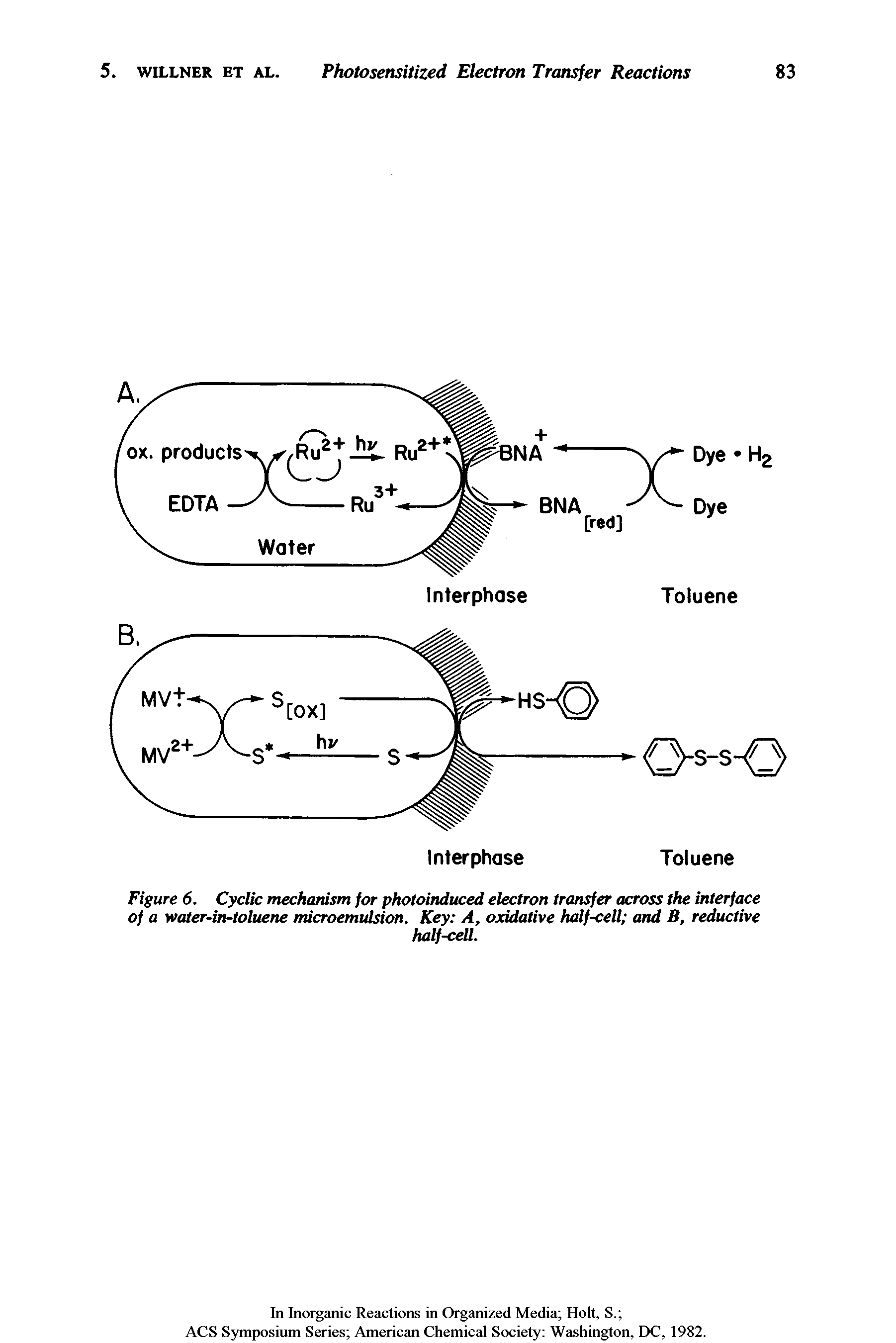 Figure 6. Cyclic mechanism for photoinduced electron transfer across the interface of a water-in-toluene microemulsion. Key A, oxidative half-cell and B, reductive...