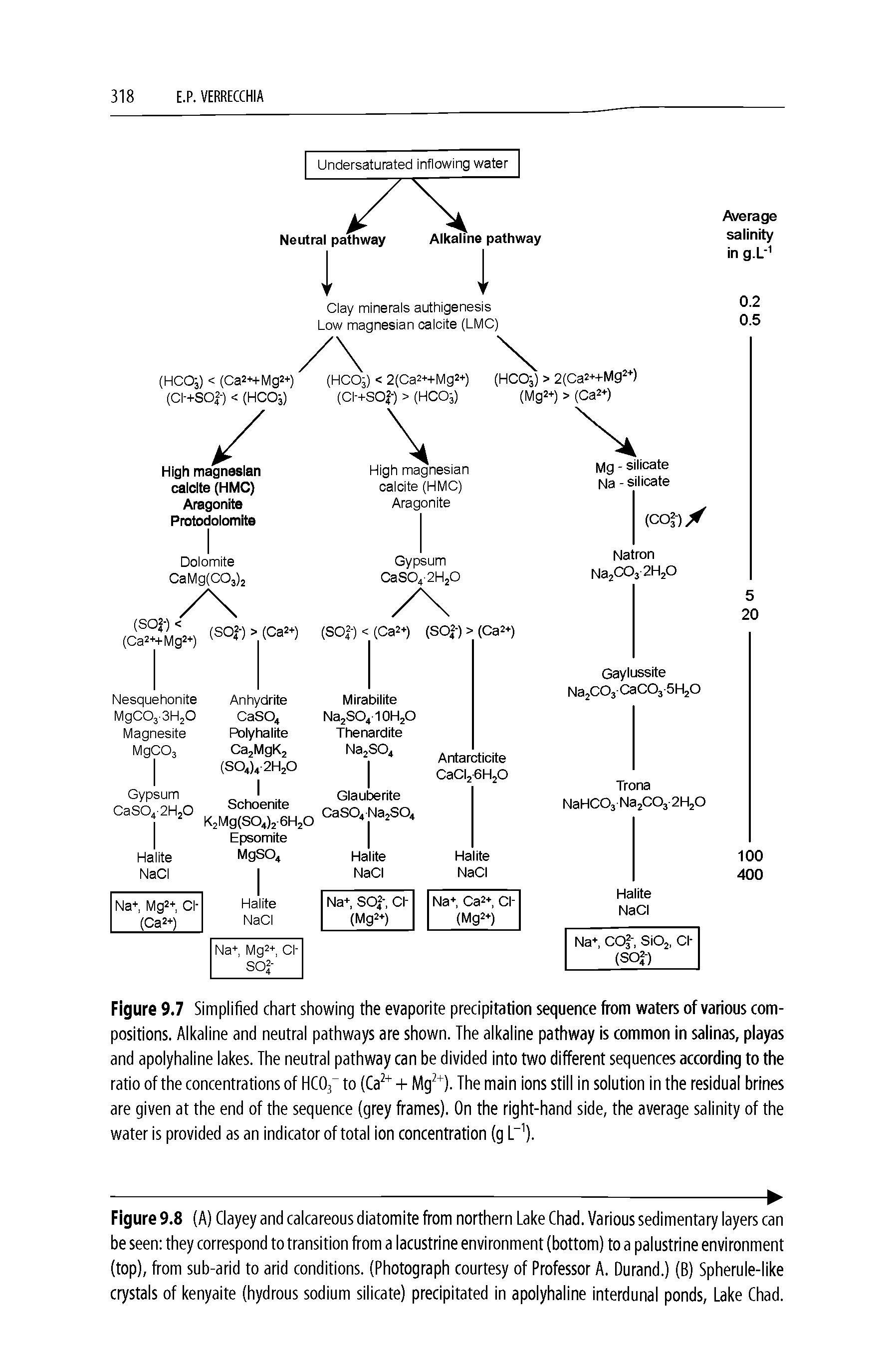 Figure 9.7 Simplified chart showing the evaporite precipitation sequence from waters of various compositions. Alkaline and neutral pathways are shown. The alkaline pathway is common in salinas, playas and apolyhaline lakes. The neutral pathway can be divided into two different sequences according to the ratio of the concentrations of HC03 to (Ca2+ + Mg2+). The main ions still in solution in the residual brines are given at the end of the sequence (grey frames). On the right-hand side, the average salinity of the water is provided as an indicator of total ion concentration (g L-1).
