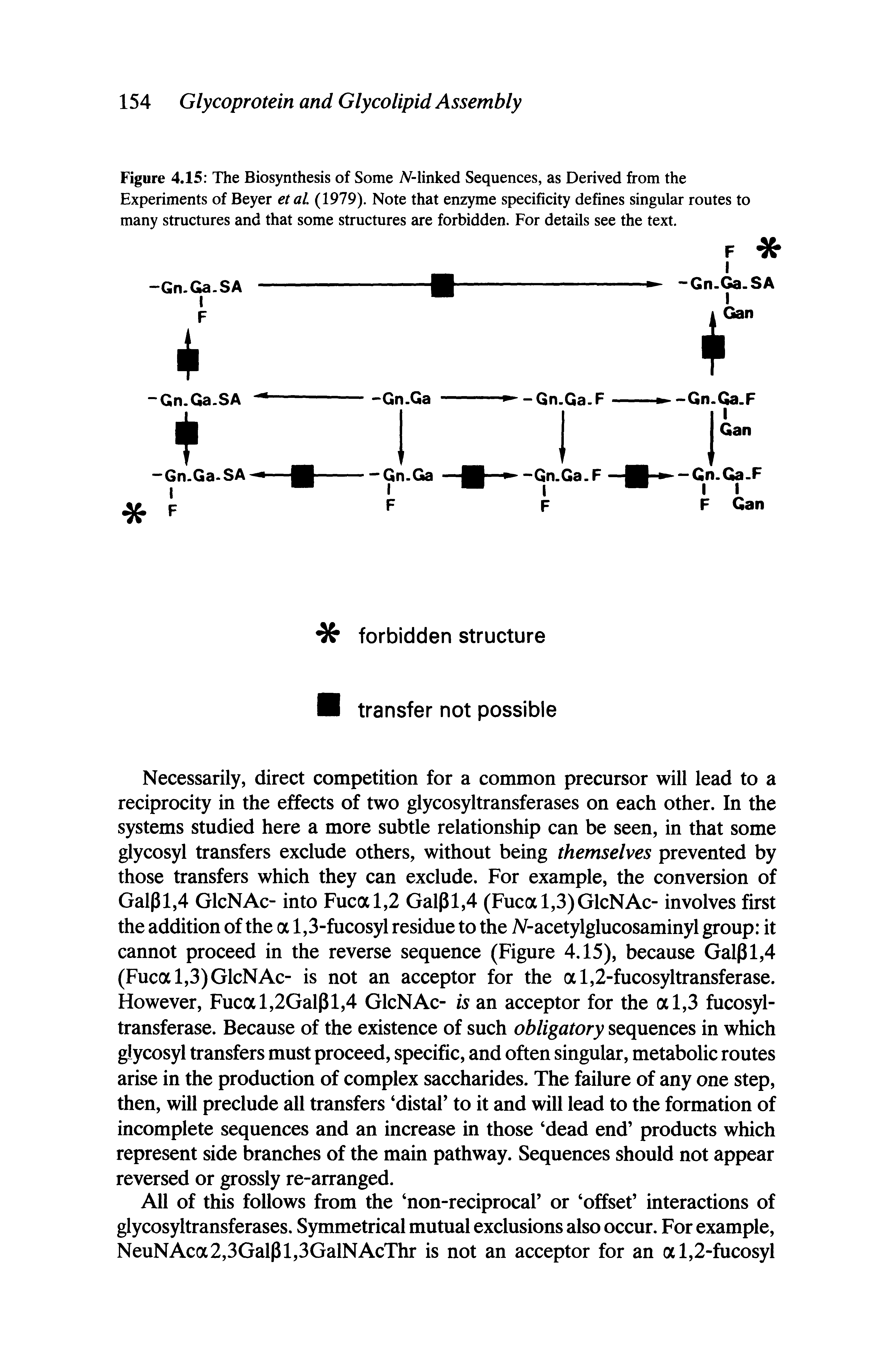 Figure 4.15 The Biosynthesis of Some A -linked Sequences, as Derived from the Experiments of Beyer etaL (1979). Note that enzyme specificity defines singular routes to many structures and that some structures are forbidden. For details see the text.