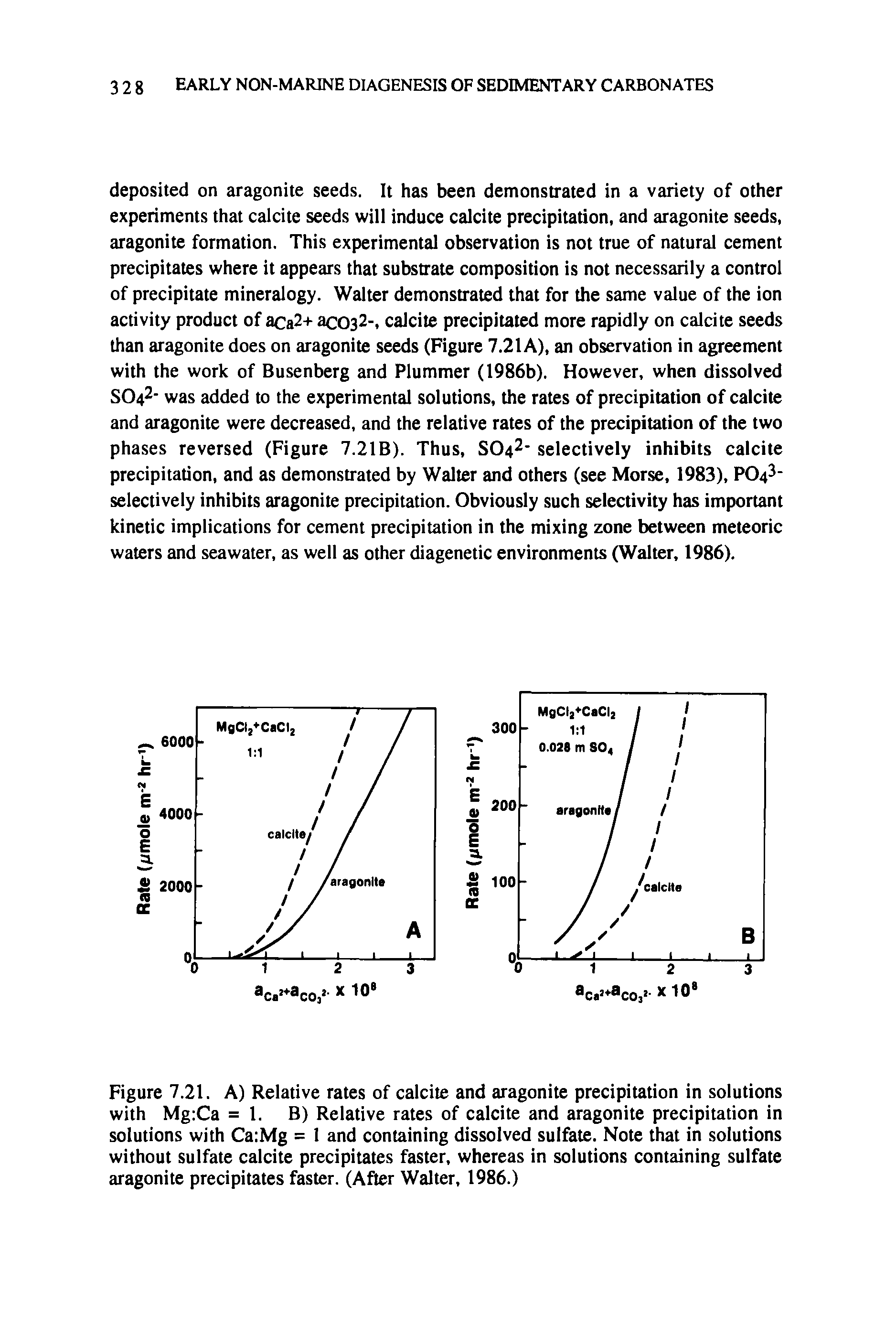 Figure 7.21. A) Relative rates of calcite and aragonite precipitation in solutions with Mg Ca =1. B) Relative rates of calcite and aragonite precipitation in solutions with Ca Mg = 1 and containing dissolved sulfate. Note that in solutions without sulfate calcite precipitates faster, whereas in solutions containing sulfate aragonite precipitates faster. (After Walter, 1986.)...