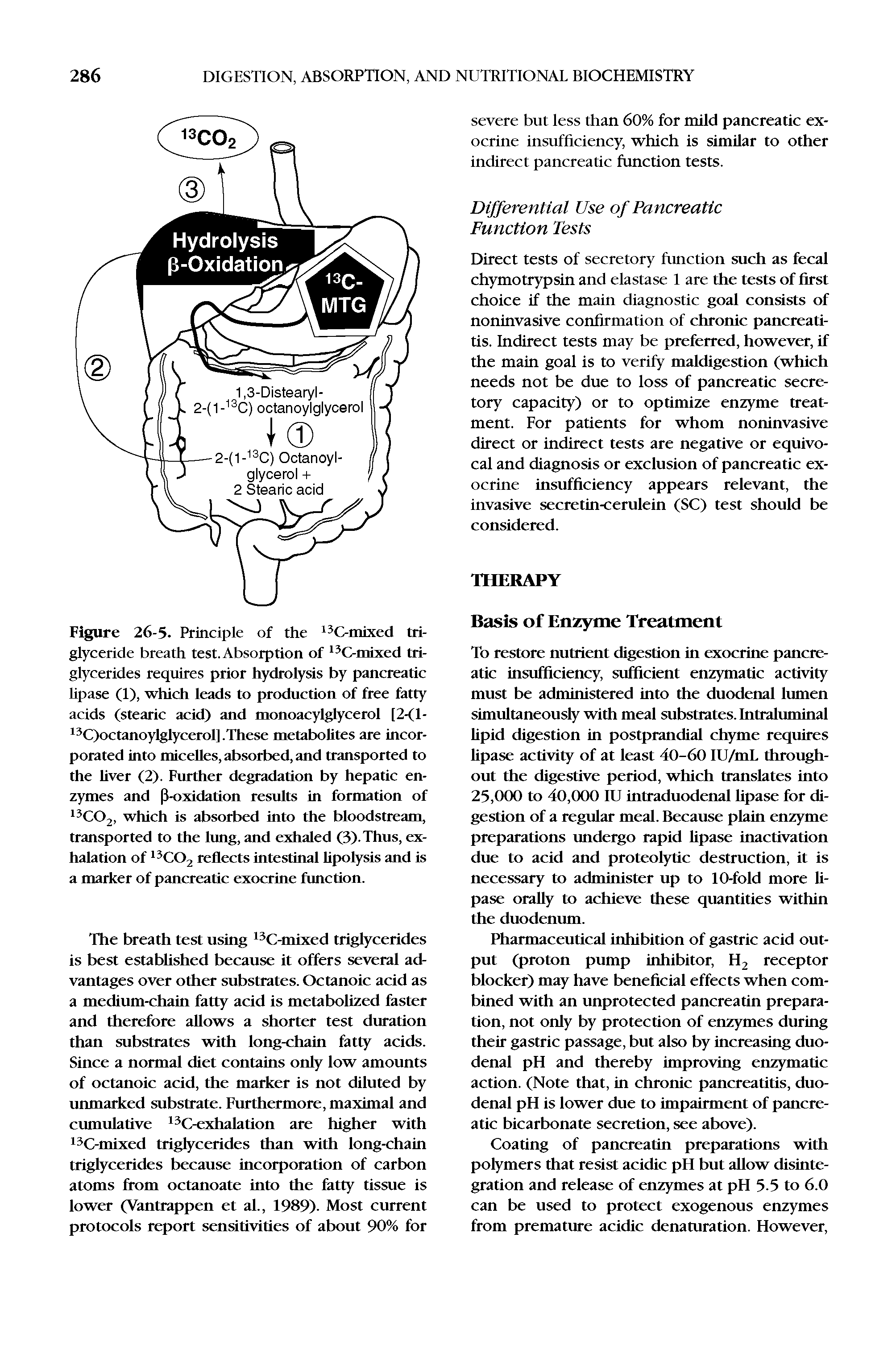 Figure 26-5. Principle of the 13C-mixed triglyceride breath test. Absorption of 13C-mixed triglycerides requires prior hydrolysis by pancreatic lipase (1), which leads to production of free fatty acids (stearic acid) and monoacylglycerol [2-(l-13C)octanoylglycerol]. These metabolites are incorporated into micelles, absorbed, and transported to the liver (2). Further degradation by hepatic enzymes and P-oxidation results in formation of 13C02, which is absorbed into the bloodstream, transported to the lung, and exhaled (3). Thus, exhalation of 13C02 reflects intestinal lipolysis and is a marker of pancreatic exocrine function.