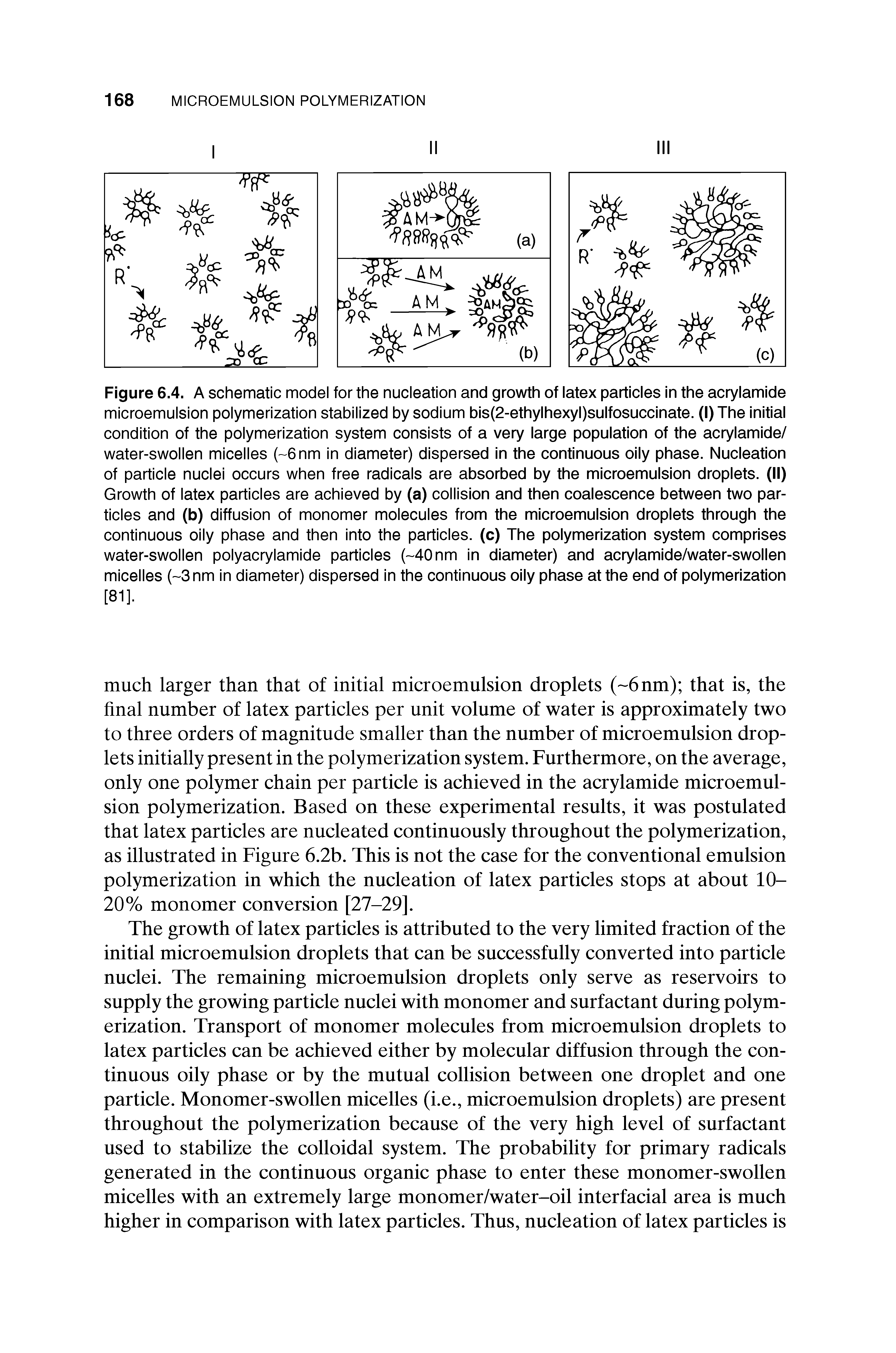 Figure 6.4. A schematic model for the nucleation and growth of latex particles in the acrylamide microemulsion polymerization stabilized by sodium bis(2-ethylhexyl)sulfosuccinate. (I) The initial condition of the polymerization system consists of a very large population of the acrylamide/ water-swollen micelles ( 6nm in diameter) dispersed in the continuous oily phase. Nucleation of particle nuclei occurs when free radicals are absorbed by the microemulsion droplets. (II) Growth of latex particles are achieved by (a) collision and then coalescence between two particles and (b) diffusion of monomer molecules from the microemulsion droplets through the continuous oily phase and then into the particles, (c) The polymerization system comprises water-swollen polyacrylamide particles ( 40nm in diameter) and acrylamide/water-swollen micelles ( 3nm in diameter) dispersed in the continuous oily phase at the end of polymerization [81].