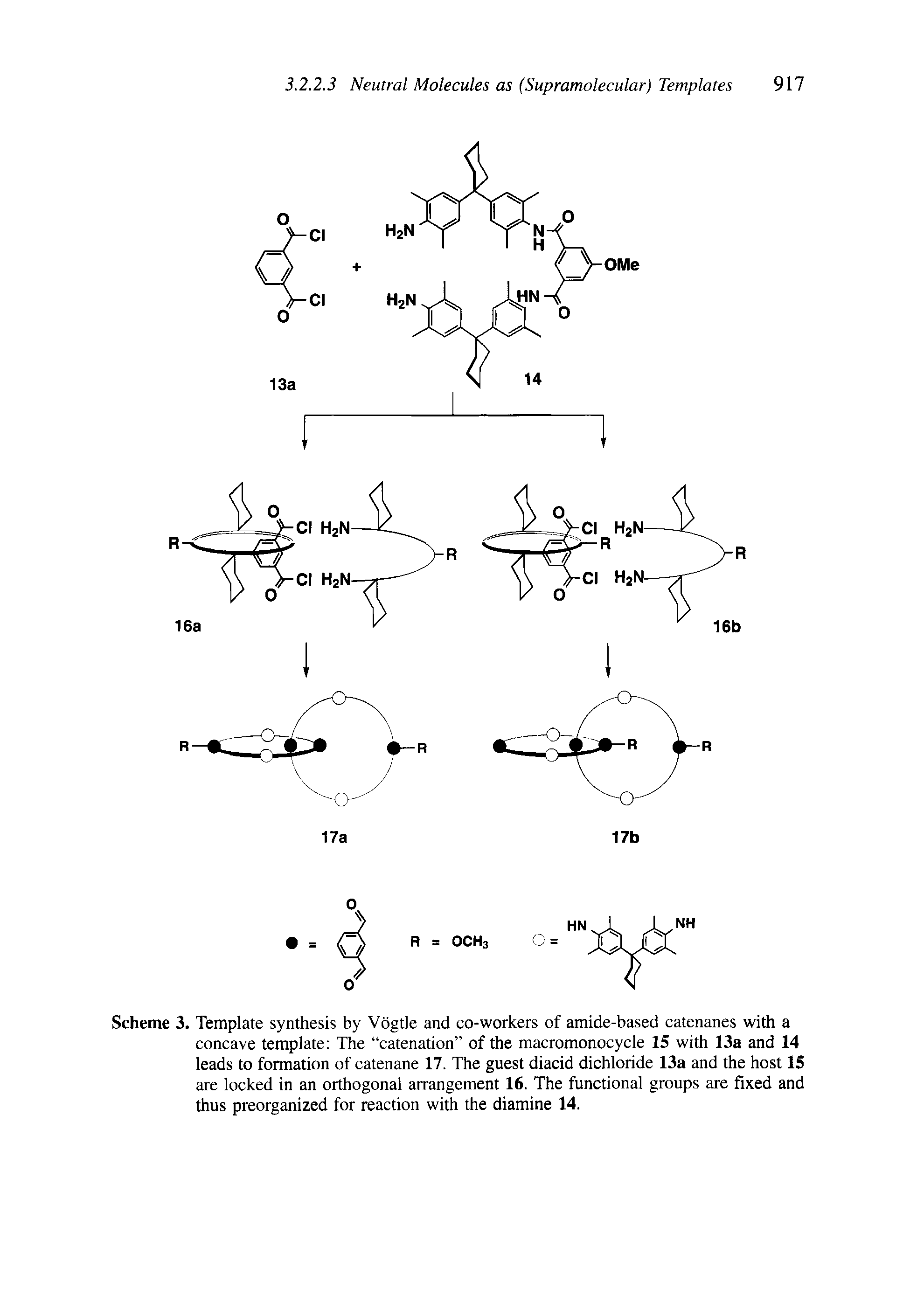 Scheme 3. Template synthesis by Vogtie and co-workers of amide-based catenanes with a concave template The catenation of the macromonocycle 15 with 13a and 14 leads to formation of catenane 17. The guest diacid dichloride 13a and the host 15 are locked in an orthogonal arrangement 16. The functional groups are fixed and thus preorganized for reaction with the diamine 14.