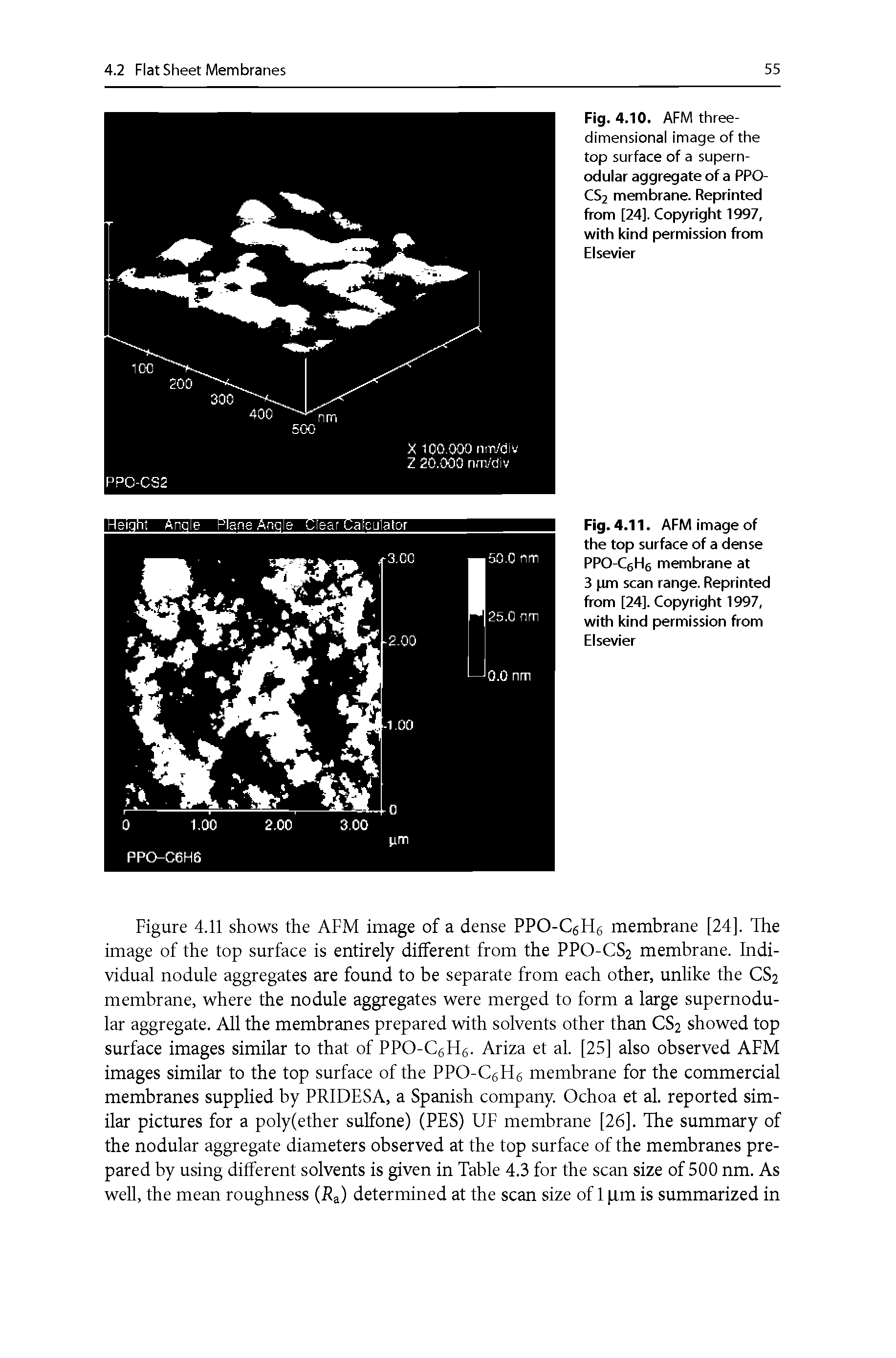 Fig. 4.10. AFM three-dimensional image of the top surface of a supern-odular aggregate of a PPO-CS2 membrane. Reprinted from [24]. Copyright 1997, with kind permission from Elsevier...