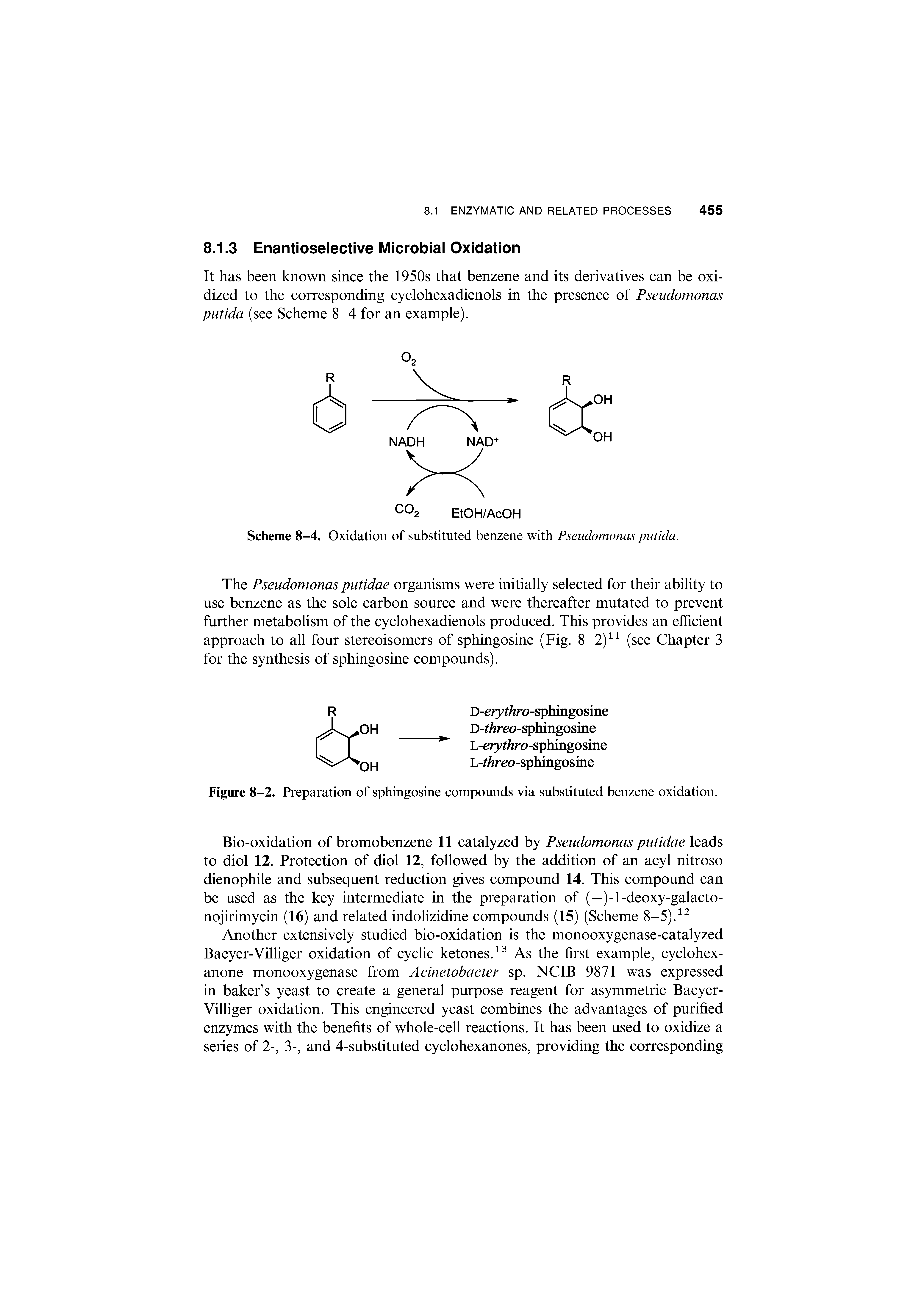 Scheme 8-4. Oxidation of substituted benzene with Pseudomonas putida.