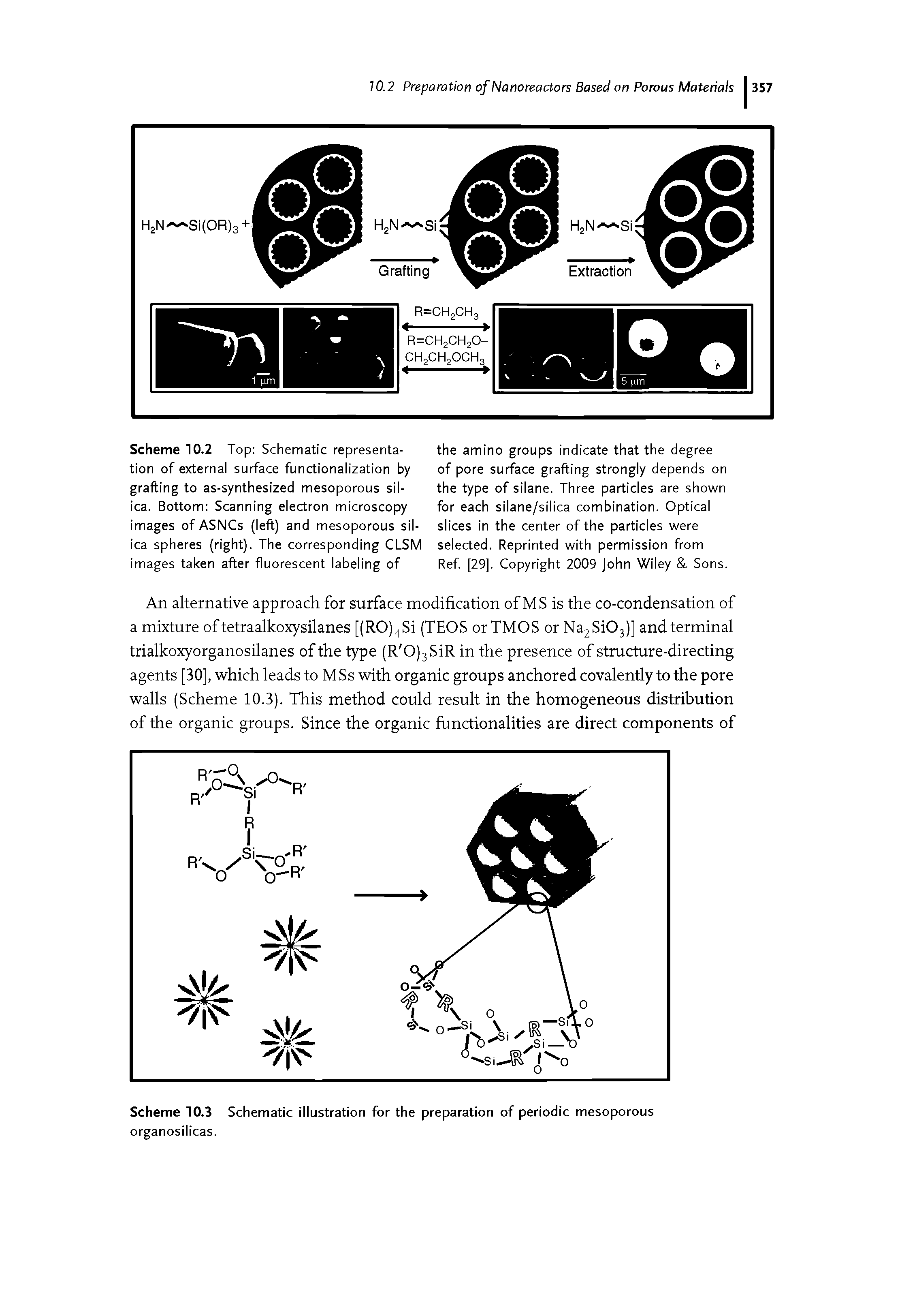 Scheme 10.2 Top Schematic representation of external surface functionalization by grafting to as-synthesized mesoporous silica. Bottom Scanning electron microscopy images of ASNCs (left) and mesoporous silica spheres (right). The corresponding CLSM images taken after fluorescent labeling of...