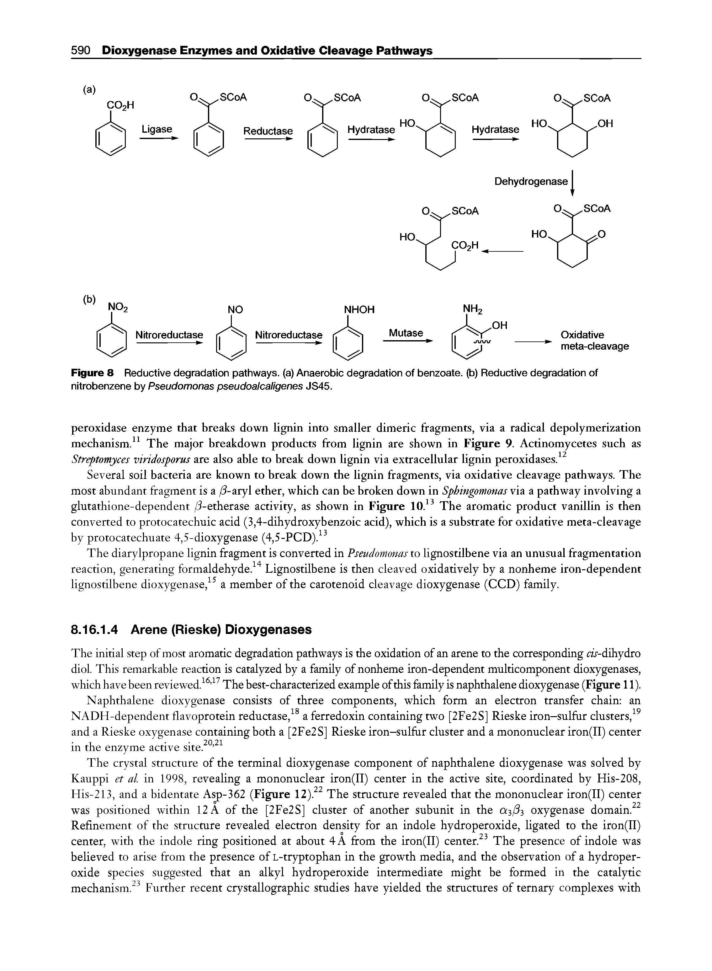 Figure 8 Reductive degradation pathways, (a) Anaerobic degradation of benzoate, (b) Reductive degradation of nitrobenzene by Pseudomonas pseudoalcaligenes JS45.