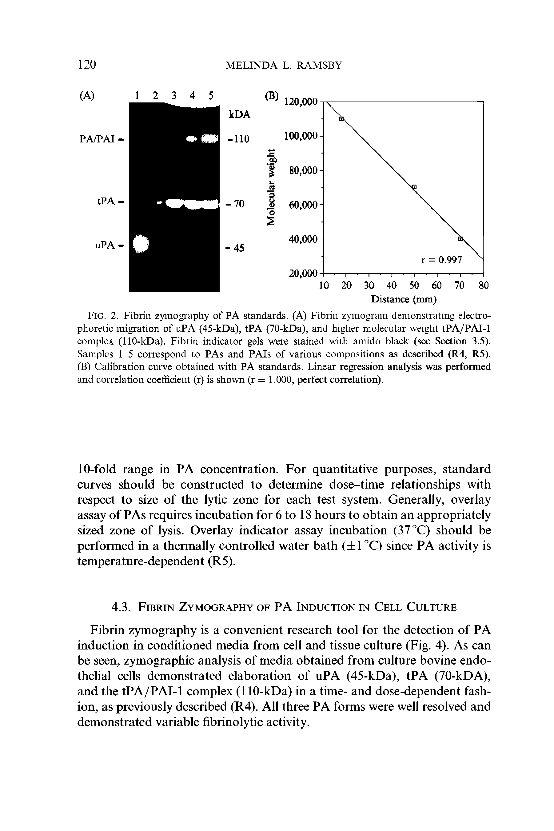 Fig. 2. Fibrin zymography of PA standards. (A) Fibrin zymogram demonstrating electrophoretic migration of uPA (45-kDa), tPA (70-kDa), and higher molecular weight tPA/PAI-1 complex (110-kDa). Fibrin indicator gels were stained with amido black (see Section 3.5). Samples 1-5 correspond to PAs and PAIs of various compositions as described (R4, R5). (B) Calibration curve obtained with PA standards. Linear regression analysis was performed and correlation coefficient (r) is shown (r = 1.000, perfect correlation).