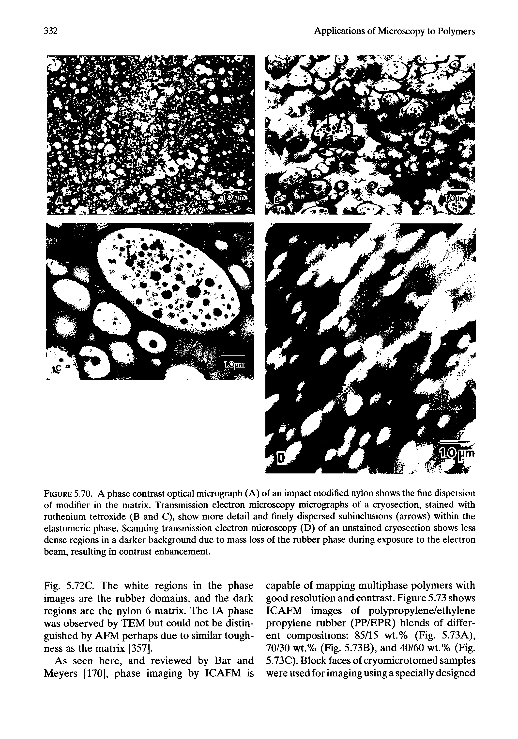 Figure 5.70. A phase contrast optical micrograph (A) of an impact modified nylon shows the fine dispersion of modifier in the matrix. Transmission electron microscopy micrographs of a cryosection, stained with ruthenium tetroxide (B and C), show more detail and finely dispersed subinclusions (arrows) within the elastomeric phase. Scanning transmission electron microscopy (D) of an unstained cryosection shows less dense regions in a darker background due to mass loss of the rubber phase during exposure to the electron beam, resulting in contrast enhancement.