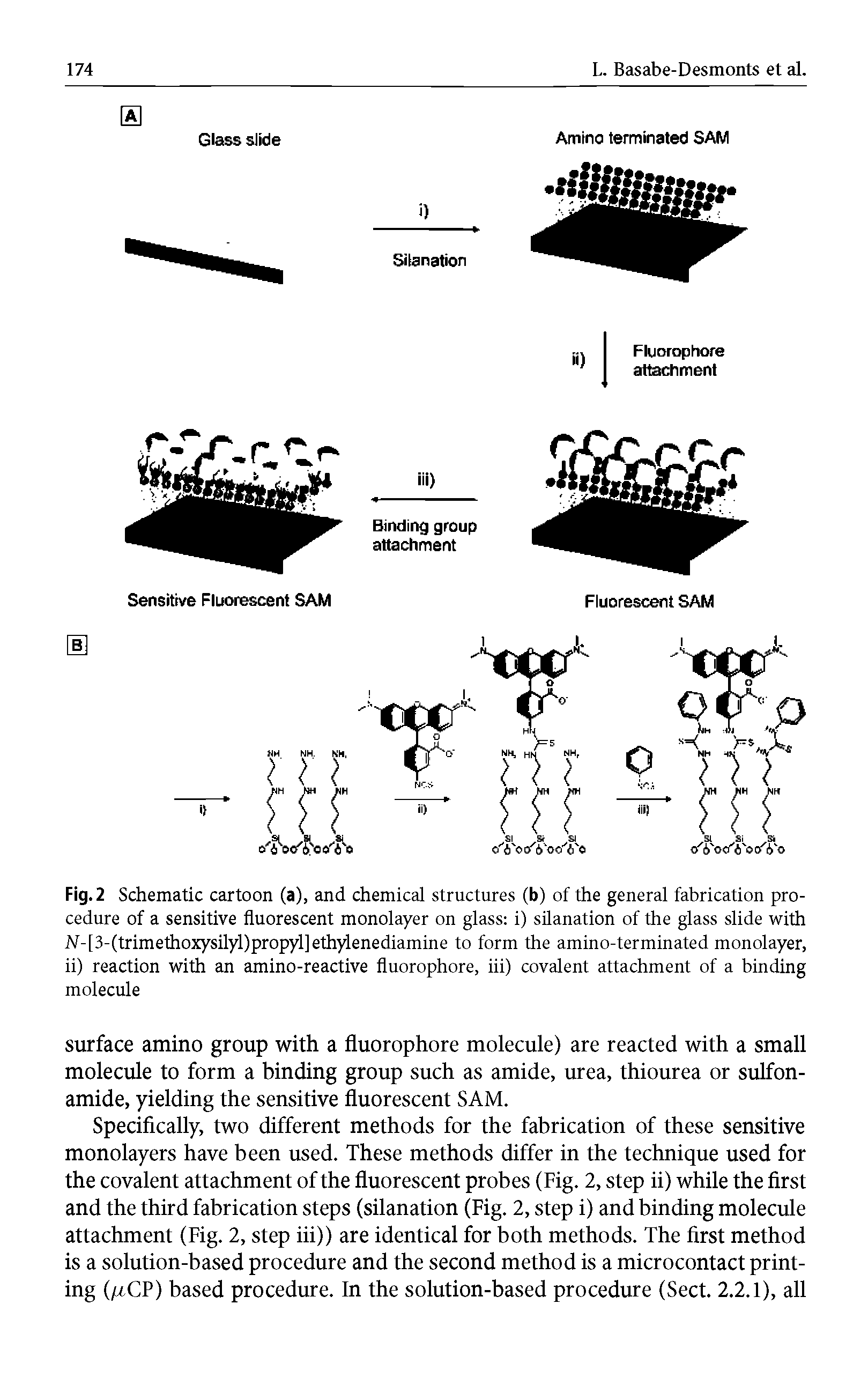 Fig. 2 Schematic cartoon (a), and chemical structures (b) of the general fabrication procedure of a sensitive fluorescent monolayer on glass i) silanation of the glass slide with N-[3-(trimethoxysilyl)propyl]ethylenediamine to form the amino-terminated monolayer, ii) reaction with an amino-reactive fluorophore, iii) covalent attachment of a binding molecule...