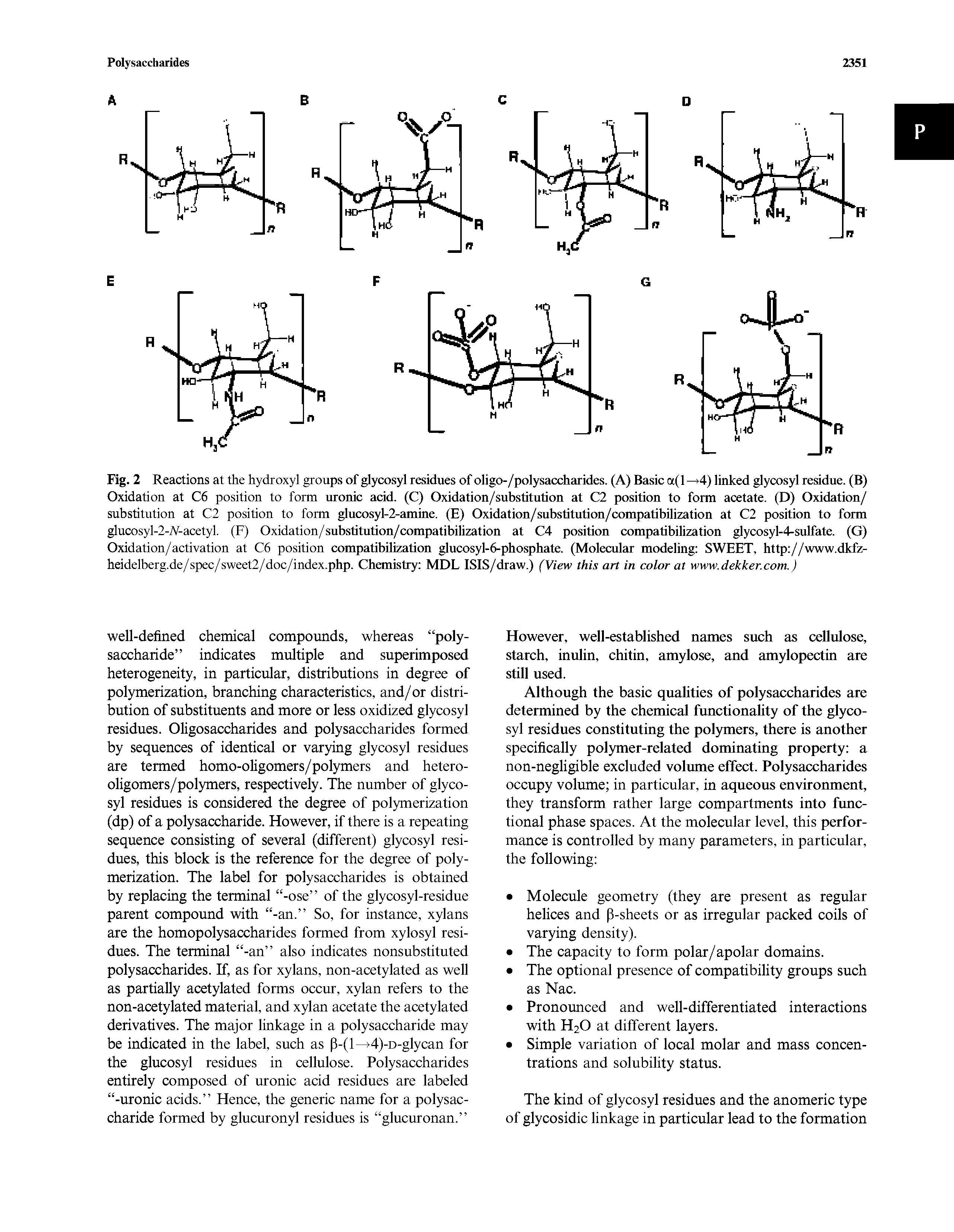 Fig. 2 Reactions at the hydroxyl groups of glycosyl residues of oligo-/polysaccharides. (A) Basic a(l 4) linked glycosyl residue. (B) Oxidation at C6 position to form uronic acid. (C) Oxidation/substitution at C2 position to form acetate. (D) Oxidation/ substitution at C2 position to form glucosyl-2-amine. (E) Oxidation/substitution/compatibilization at C2 position to form glucosyl-2-A-acetyl. (F) Oxidation/substitution/compatibilization at C4 position compatibilization glycosyl-4-sulfate. (G) Oxidation/activation at C6 position compatibilization glucosyl-6-phosphate. (Molecular modeling SWEET, http //www.dkfz-heidelberg.de/spec/sweet2/doc/index.php. Chemistry MDL ISIS/draw.) (View this art in color at www.dekker.com.)...