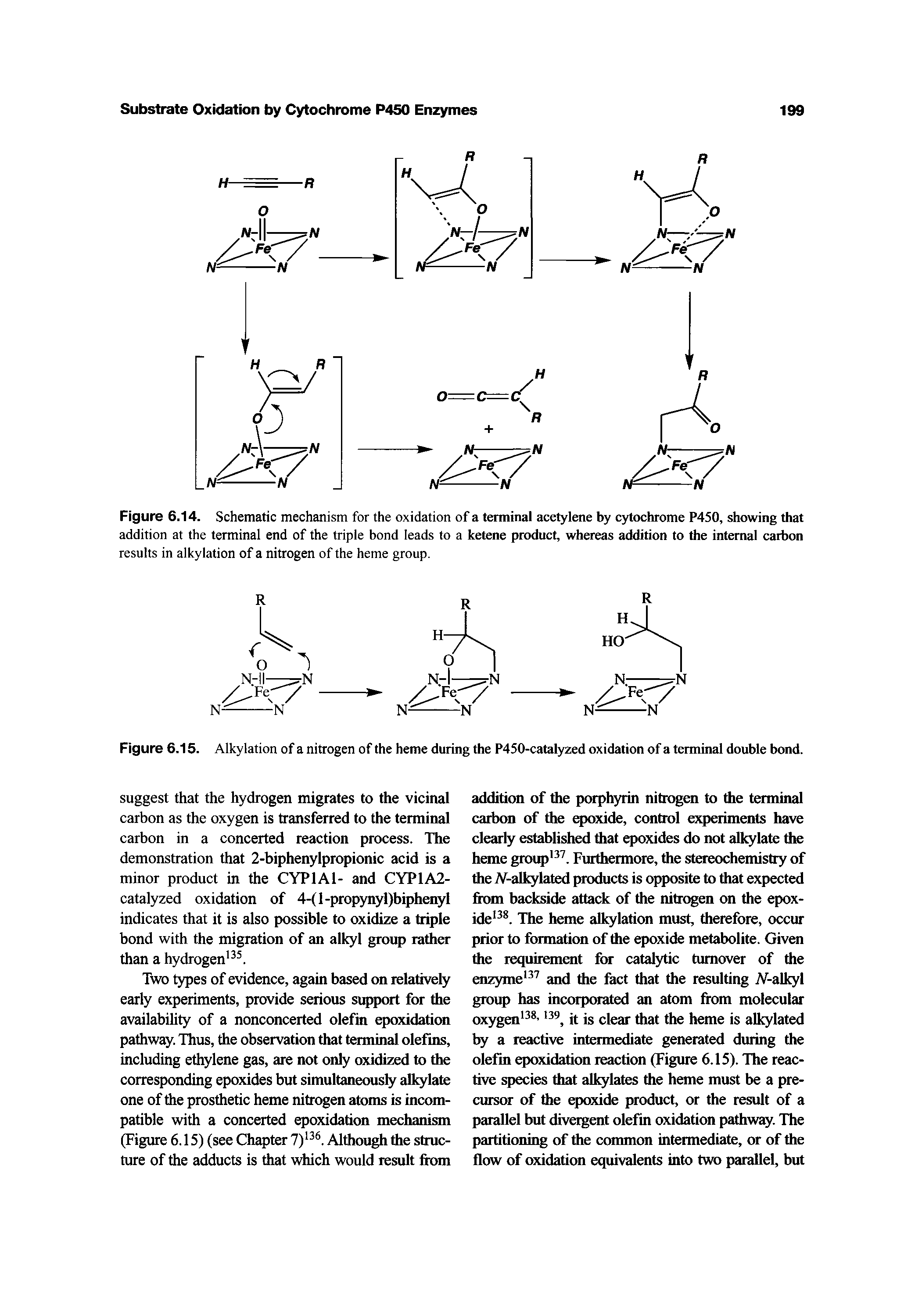 Figure 6.14. Schematic mechanism for the oxidation of a terminal acetylene by cytochrome P450, showing that addition at the terminal end of the triple bond leads to a ketene product, whereas addition to the internal carbon results in alkylation of a nitrogen of the heme group.