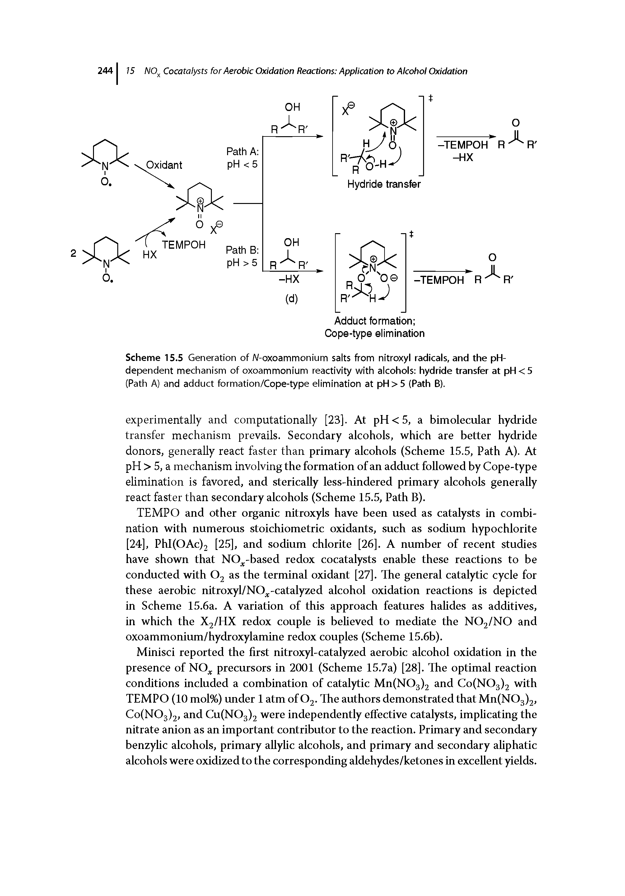 Scheme 15.5 Generation of A/-oxoammonium salts from nitroxyl radicals, and the pH-dependent mechanism of oxoammonium reactivity ith alcohols hydride transfer at pH < 5 (Path A) and adduct formation/Cope-type elimination at pH > 5 (Path B).