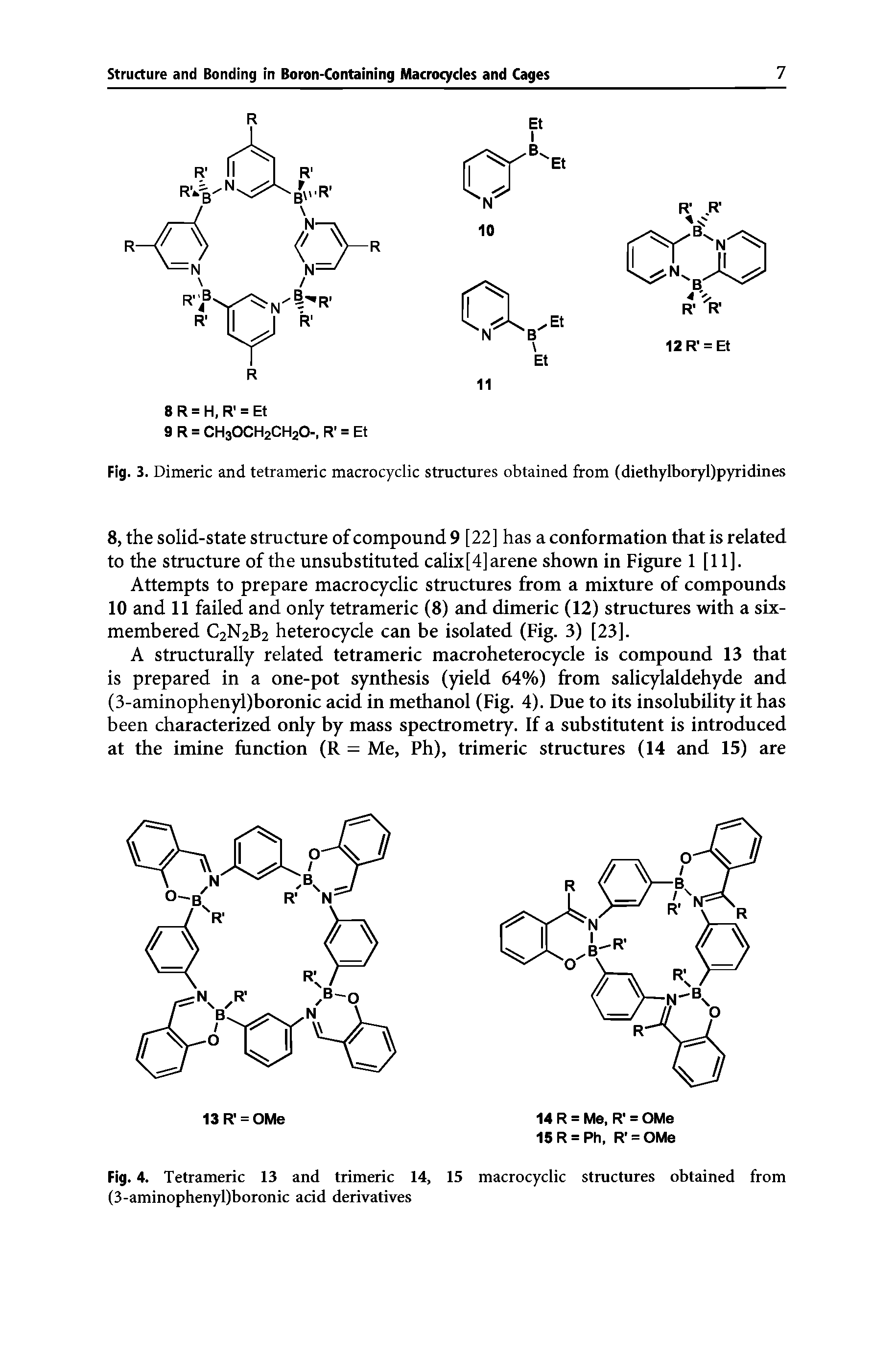 Fig. 4. Tetrameric 13 and trimeric 14, 15 macrocyclic structures obtained from (3-aminophenyl)boronic acid derivatives...