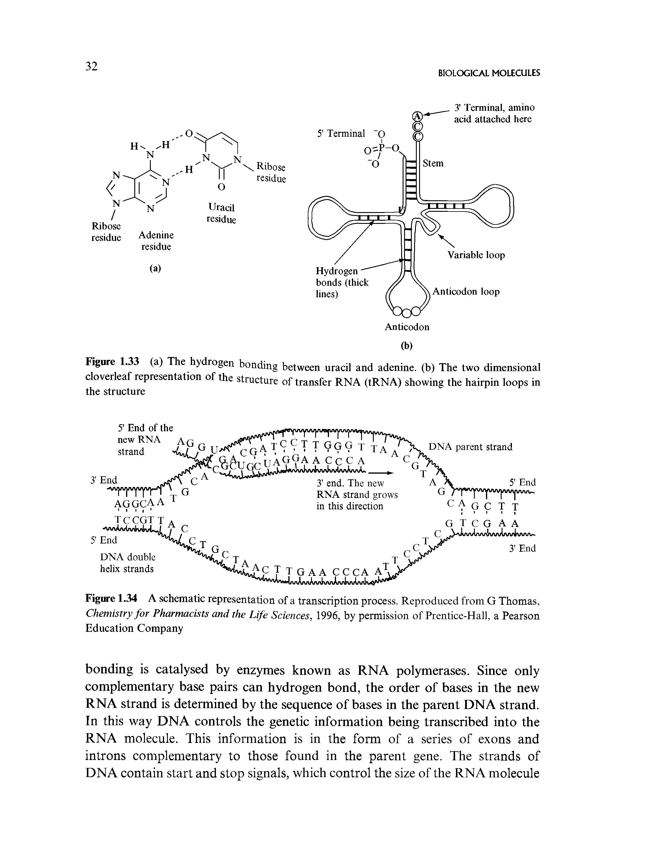 Figure 1.34 A schematic representation of a transcription process. Reproduced from G Thomas, Chemistry for Pharmacists and the Life Sciences, 1996, by permission of Prentice-Hall, a Pearson Education Company...