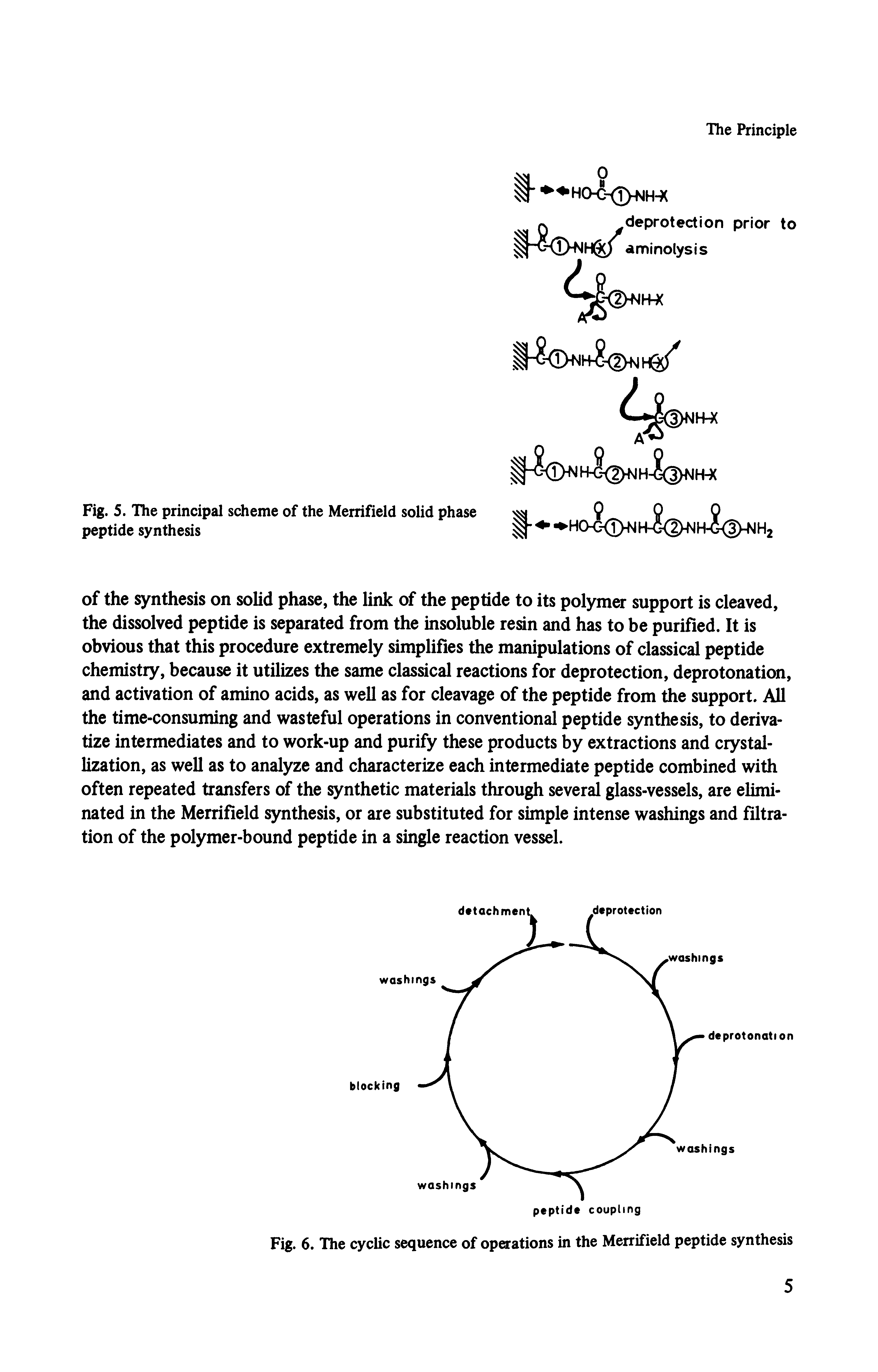 Fig. 6. The cyclic sequence of operations in the Merrifield peptide synthesis...