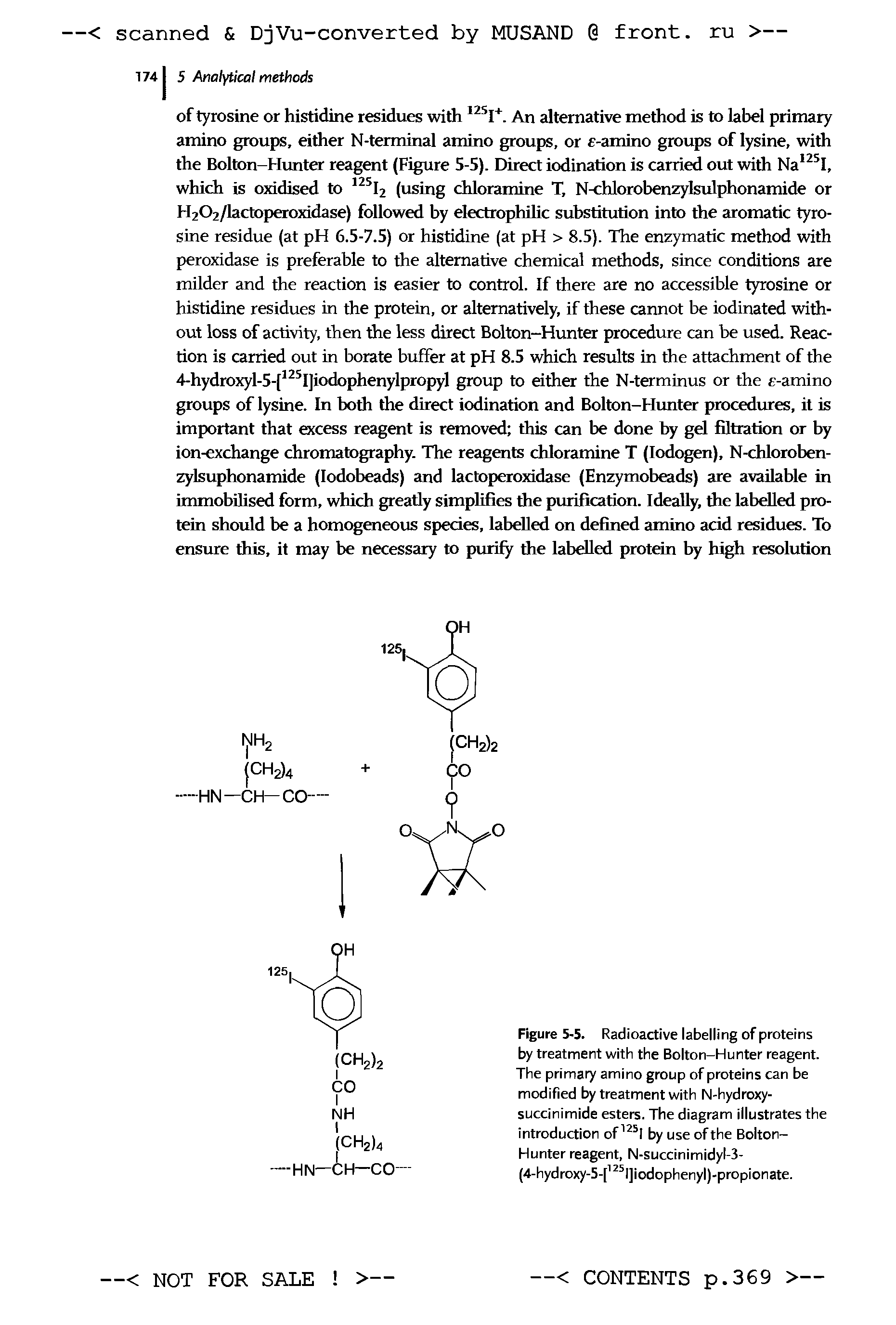 Figure 5-5. Radioactive labelling of proteins by treatment with the Bolton-Hunter reagent. The primary amino group of proteins can be modified by treatment with N-hydroxy-succinimide esters. The diagram illustrates the introduction of 125l by use of the Bolton-Hunter reagent, N-succinimidyl-3-(4-hydroxy-5-[125l]iodophenyl)-propionate.
