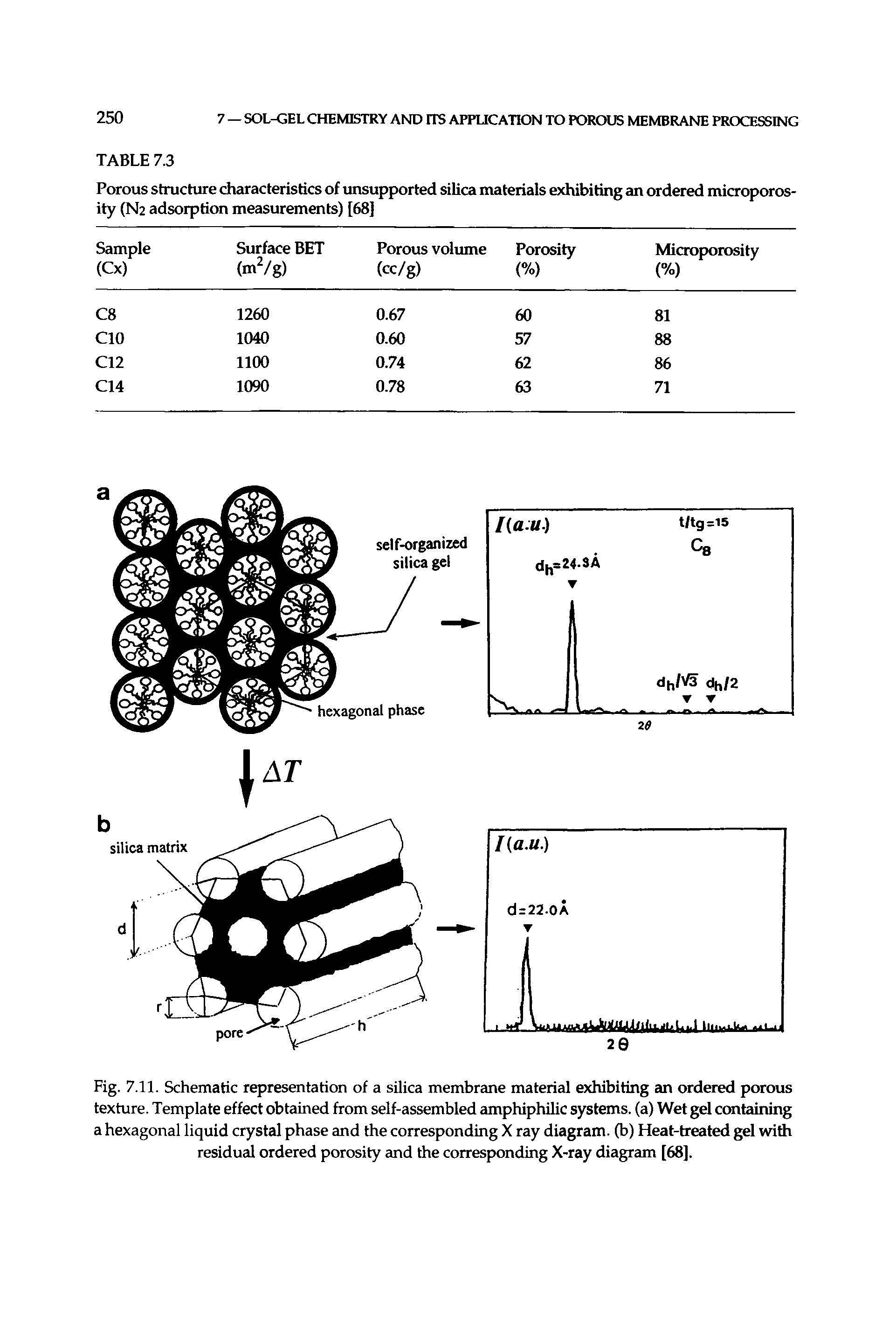 Fig. 7.11. Schematic representation of a silica membrane material exhibiting an ordered porous texture. Template effect obtained from self-assembled amphiphilic systems, (a) Wet gel ccmfeiining a hexagonal liquid crystal phase and the corresponding X ray diagram. G ) Heat-treated gel with residual ordered porosity and the corresponding X-ray diagram [68].