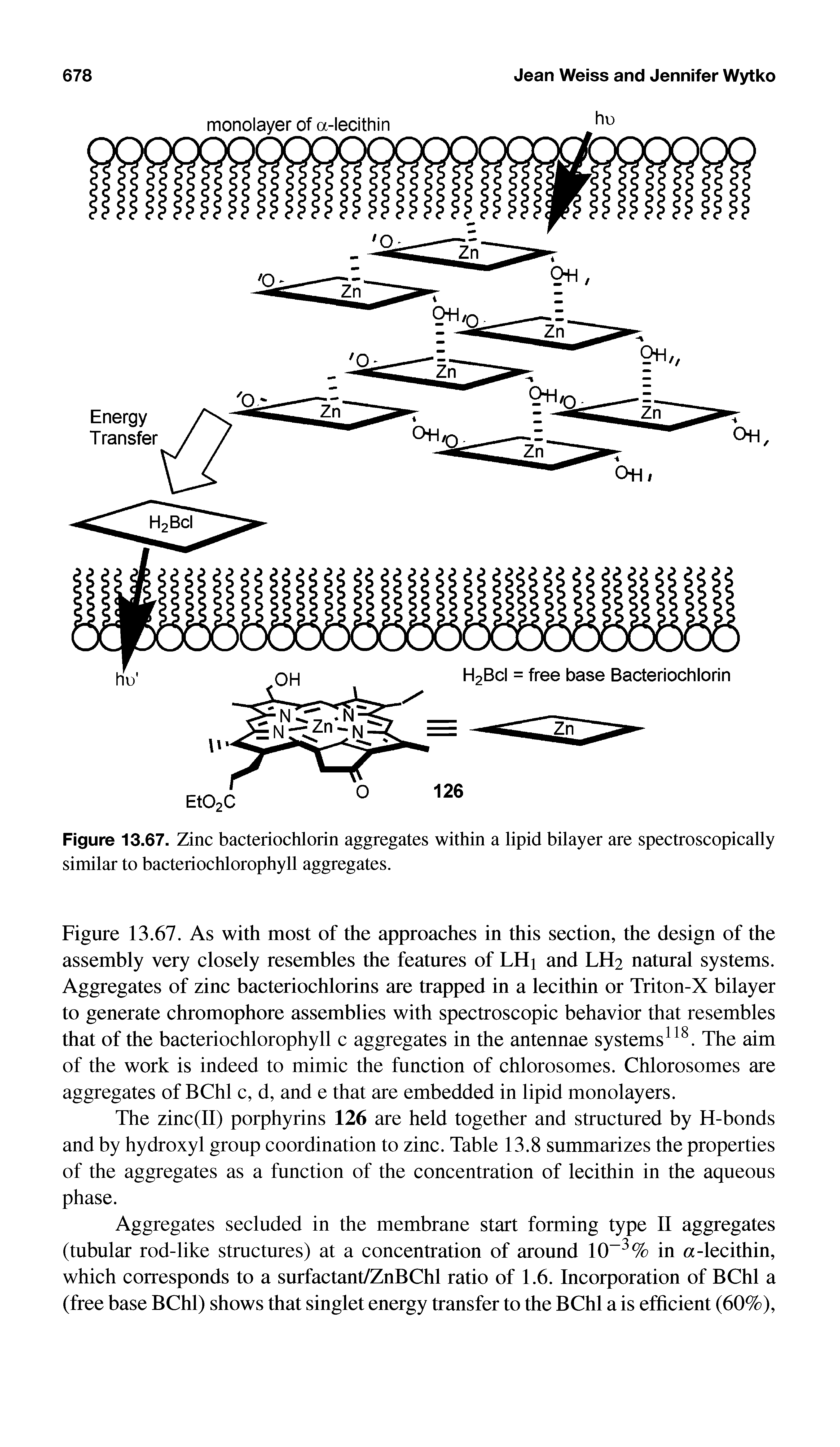 Figure 13.67. As with most of the approaches in this section, the design of the assembly very closely resembles the features of LHi and LH2 natural systems. Aggregates of zinc bacteriochlorins are trapped in a lecithin or Triton-X bilayer to generate chromophore assemblies with spectroscopic behavior that resembles that of the bacteriochlorophyll c aggregates in the antennae systems The aim of the work is indeed to mimic the function of chlorosomes. Chlorosomes are aggregates of BChl c, d, and e that are embedded in lipid monolayers.