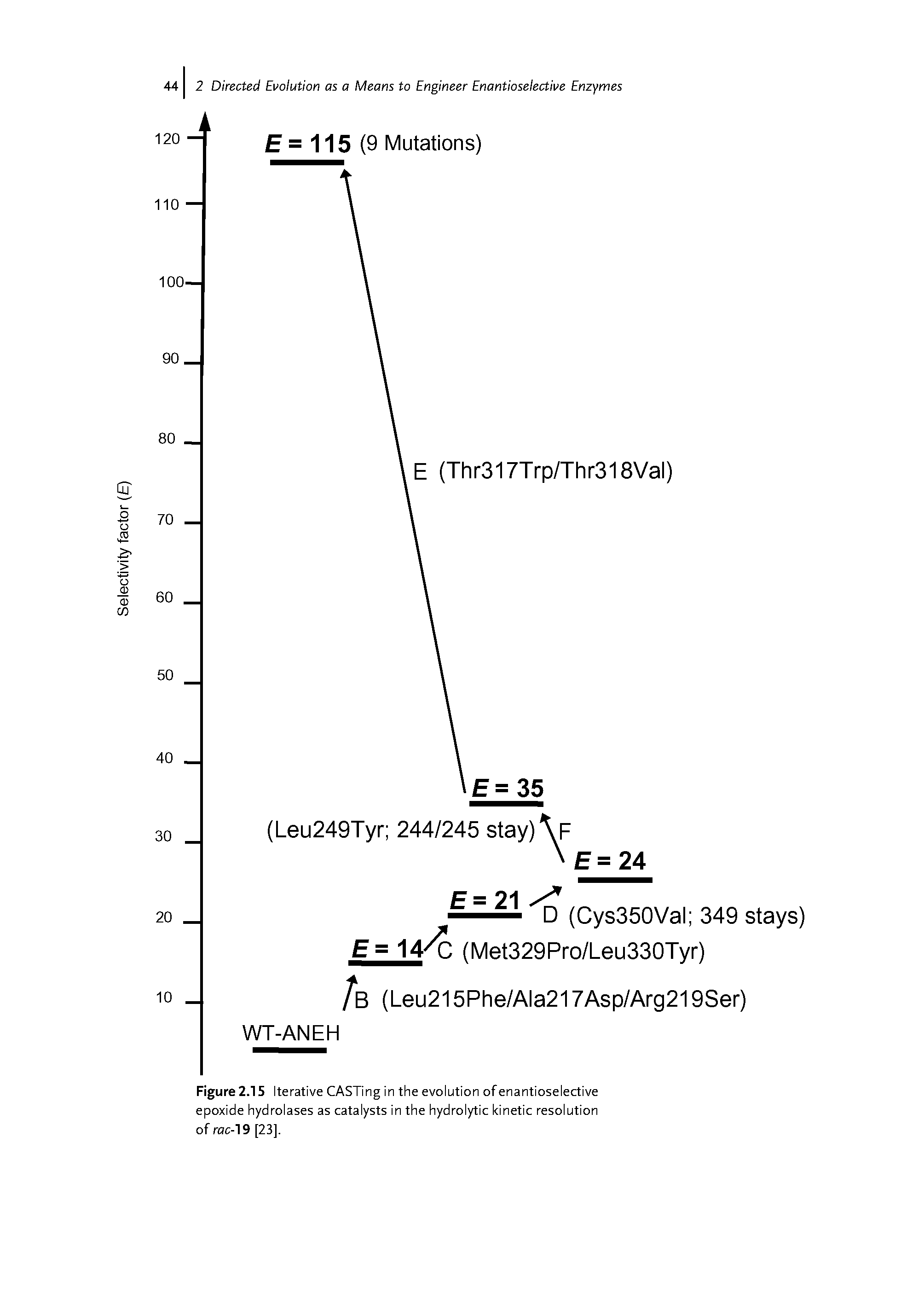 Figure 2.15 Iterative CASTing in the evolution of enantioseiective epoxide hydrolases as catalysts in the hydrolytic kinetic resolution ofrac-19[23].