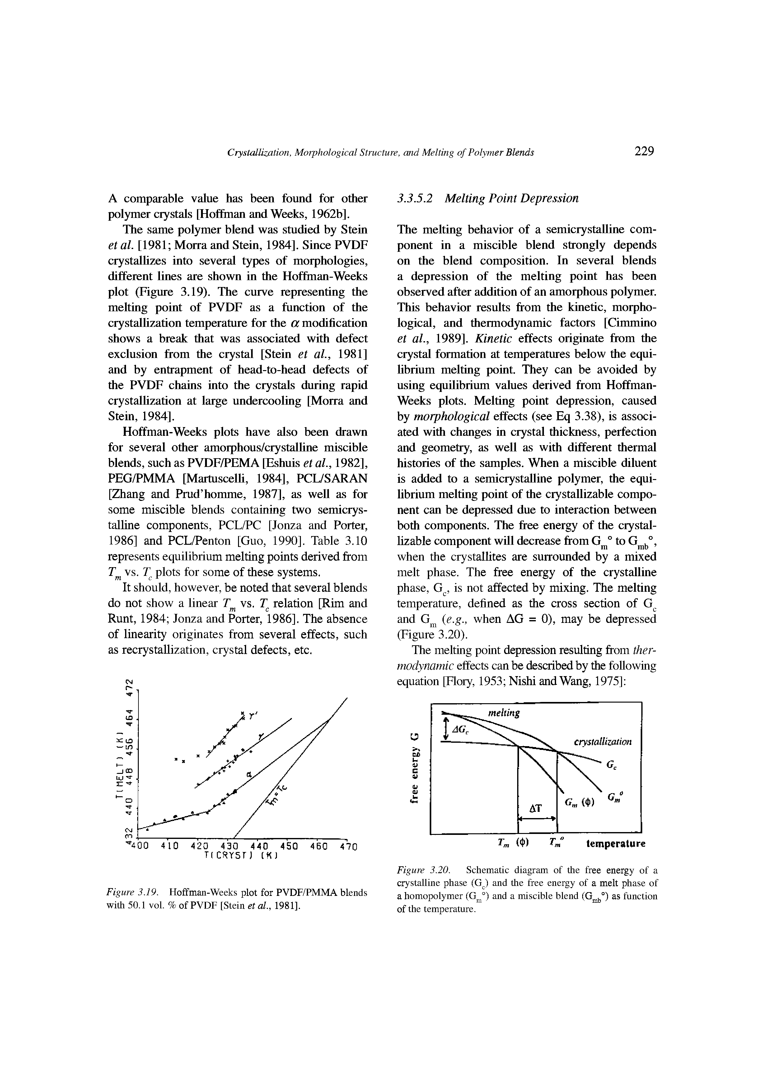 Figure 3.20. Schematic diagram of the free energy of a crystalline phase (G ) and the free energy of a melt phase of a homopolymer (G ) and a miscible blend as function...
