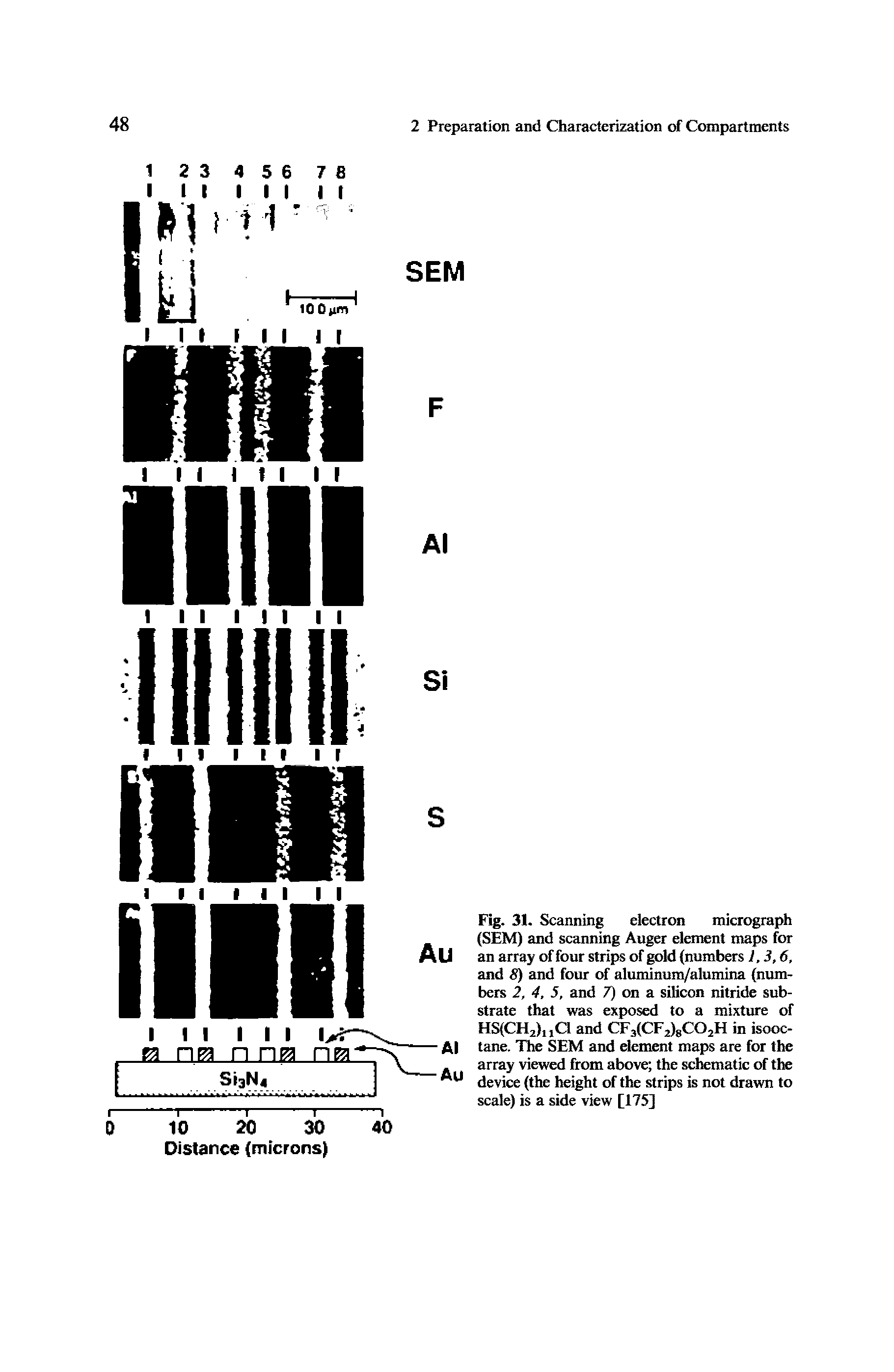 Fig. 31. Scanning electron micrograph (SEM) and scanning Auger element maps for an array of four strips of gold numbers 1,3,6, and 8) and four of aluminum/alumina (numbers 2, 4, 5, and 7) on a silicon nitride substrate that was exposed to a mixture of HS(CH2),, C1 and CF3(CF2)8C02H in isooctane. The SEM and element maps are for the array viewed from above the schematic of the device (the height of the strips is not drawn to scale) is a side view [175]...