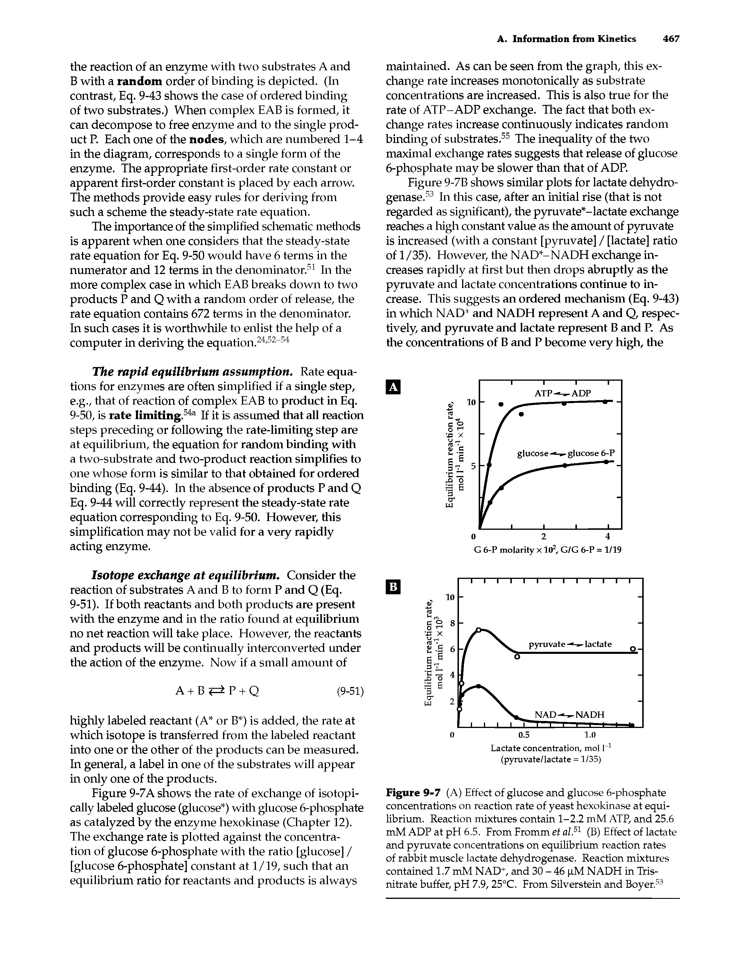 Figure 9-7 (A) Effect of glucose and glucose 6-phosphate concentrations on reaction rate of yeast hexokinase at equilibrium. Reaction mixtures contain 1-2.2 mM ATP, and 25.6 mM ADP at pH 6.5. From Fromm et al.51 (B) Effect of lactate and pyruvate concentrations on equilibrium reaction rates of rabbit muscle lactate dehydrogenase. Reaction mixtures contained 1.7 mM NAD+, and 30 - 46 pM NADH in Tris-nitrate buffer, pH 7.9, 25°C. From Silverstein and Boyer.53...