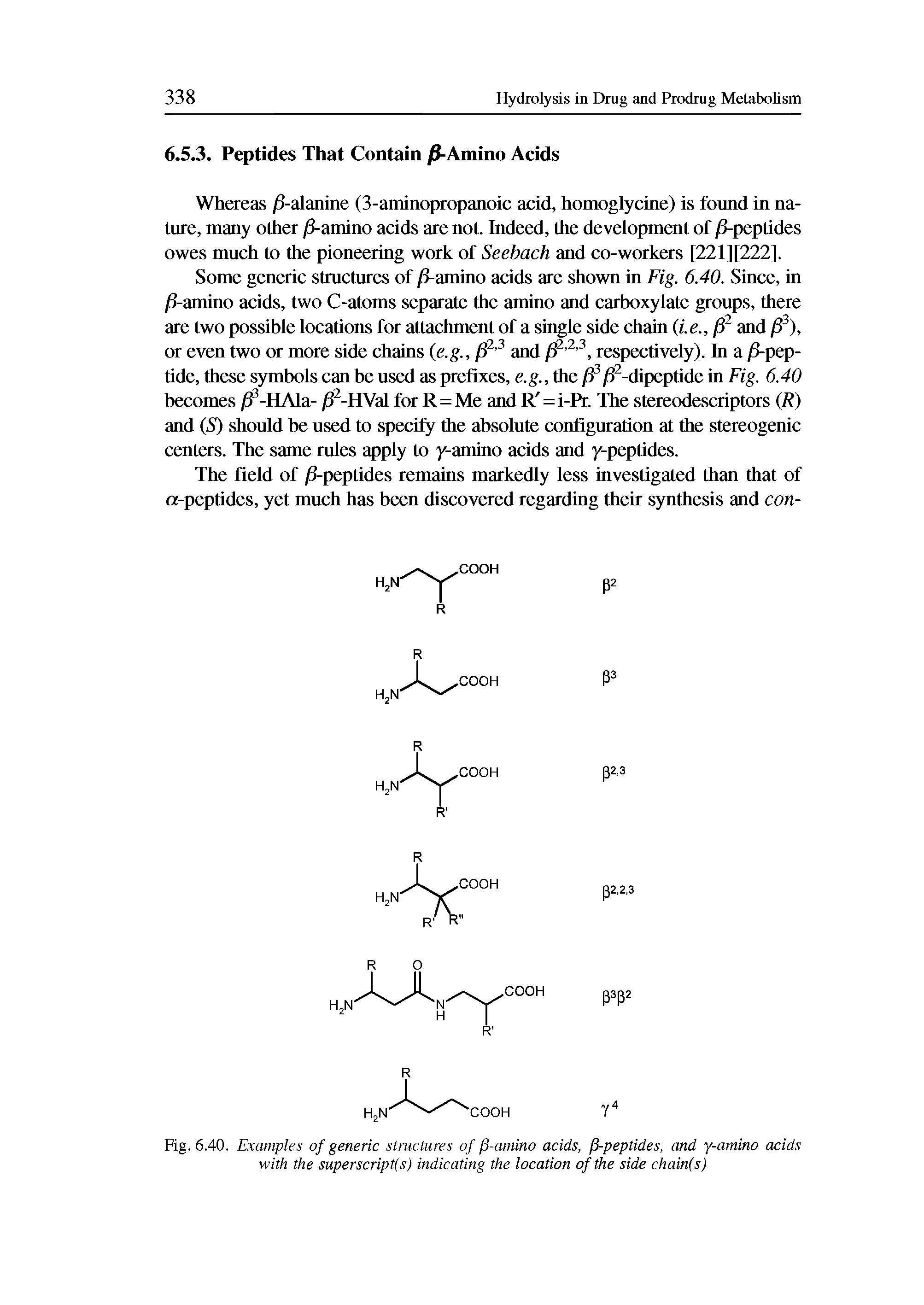 Fig. 6.40. Examples of generic structures of /3-amino acids, /3-peptides, and y-amino acids with the superscripts) indicating the location of the side chain(s)...
