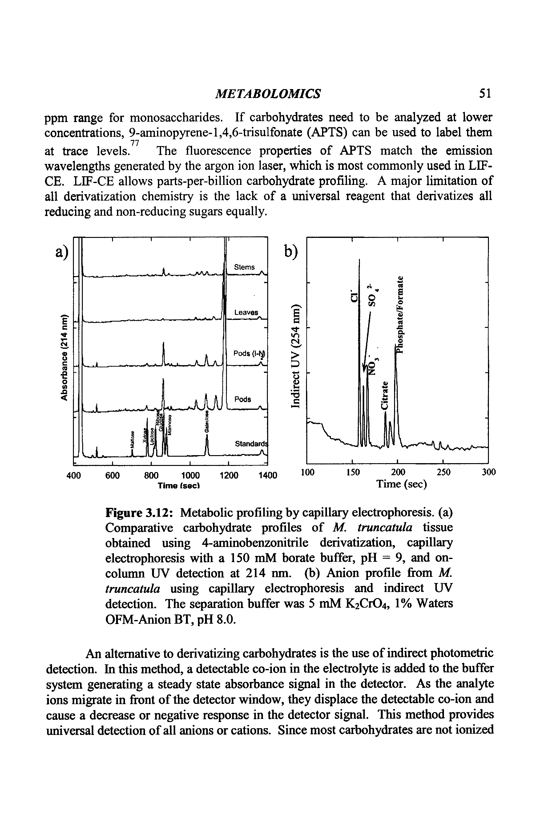 Figure 3.12 Metabolic profiling by capillary electrophoresis, (a) Comparative carbohydrate profiles of M. truncatula tissue obtained using 4-aminobenzonitrile derivatization, capillary electrophoresis with a 150 mM borate buffer, pH = 9, and on-column UV detection at 214 nm. (b) Anion profile from M. truncatula using capillary electrophoresis and indirect UV detection. The separation buffer was 5 mM K2C1O4, 1% Waters OFM-Anion BT, pH 8.0.