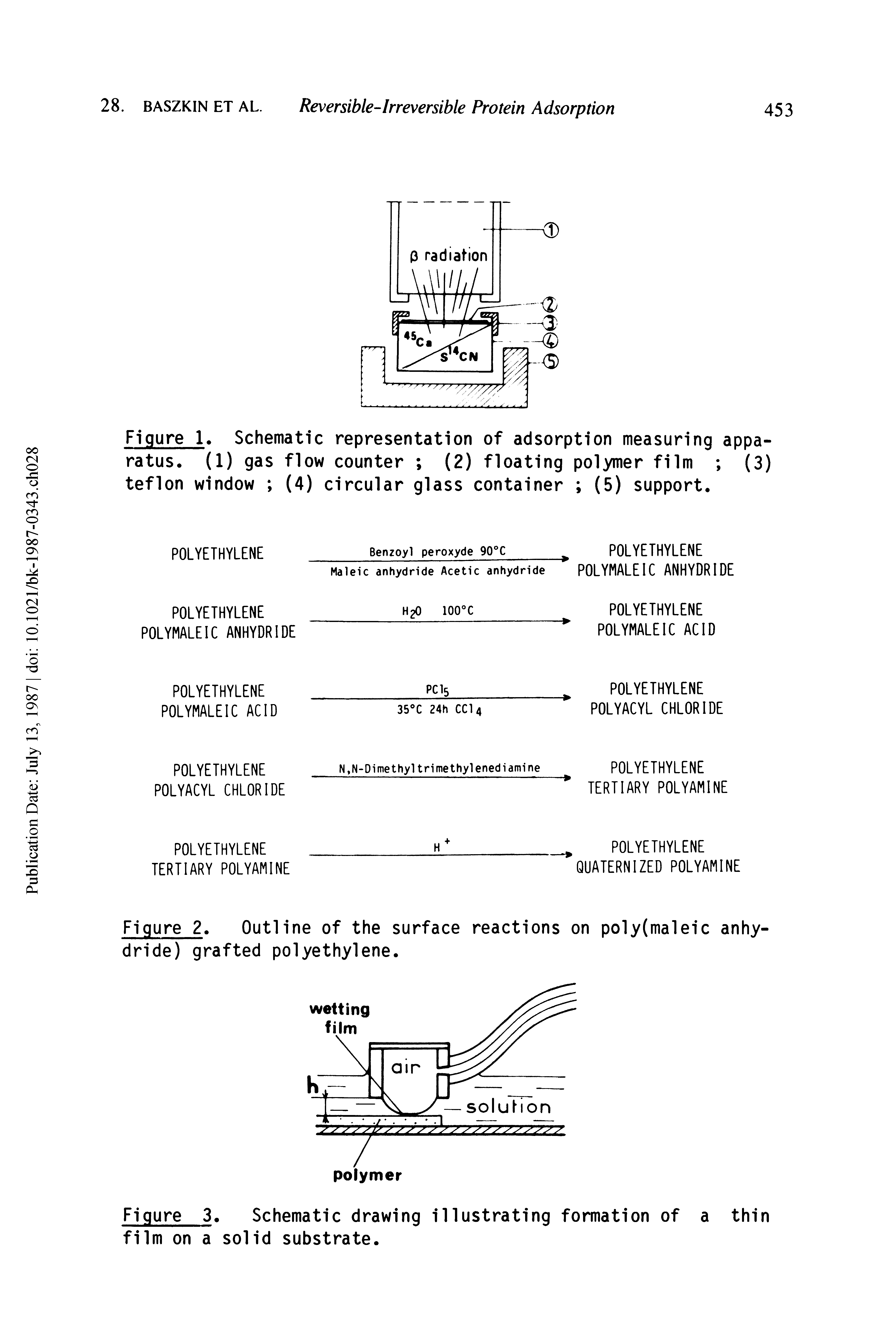 Figure 2. Outline of the surface reactions on poly(maleic anhydride) grafted polyethylene.