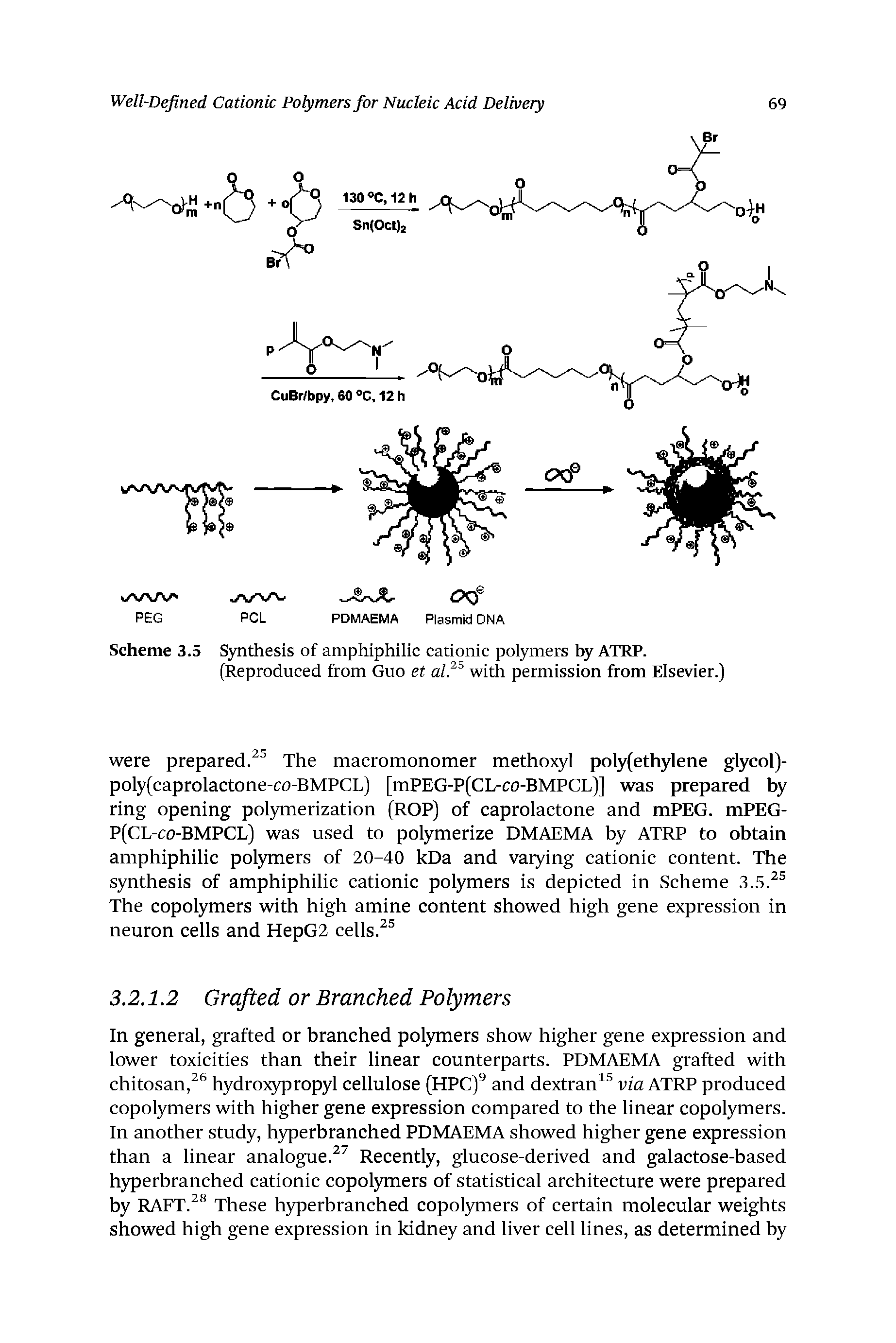Scheme 3.5 Synthesis of amphiphilic cationic polymers ATRP.
