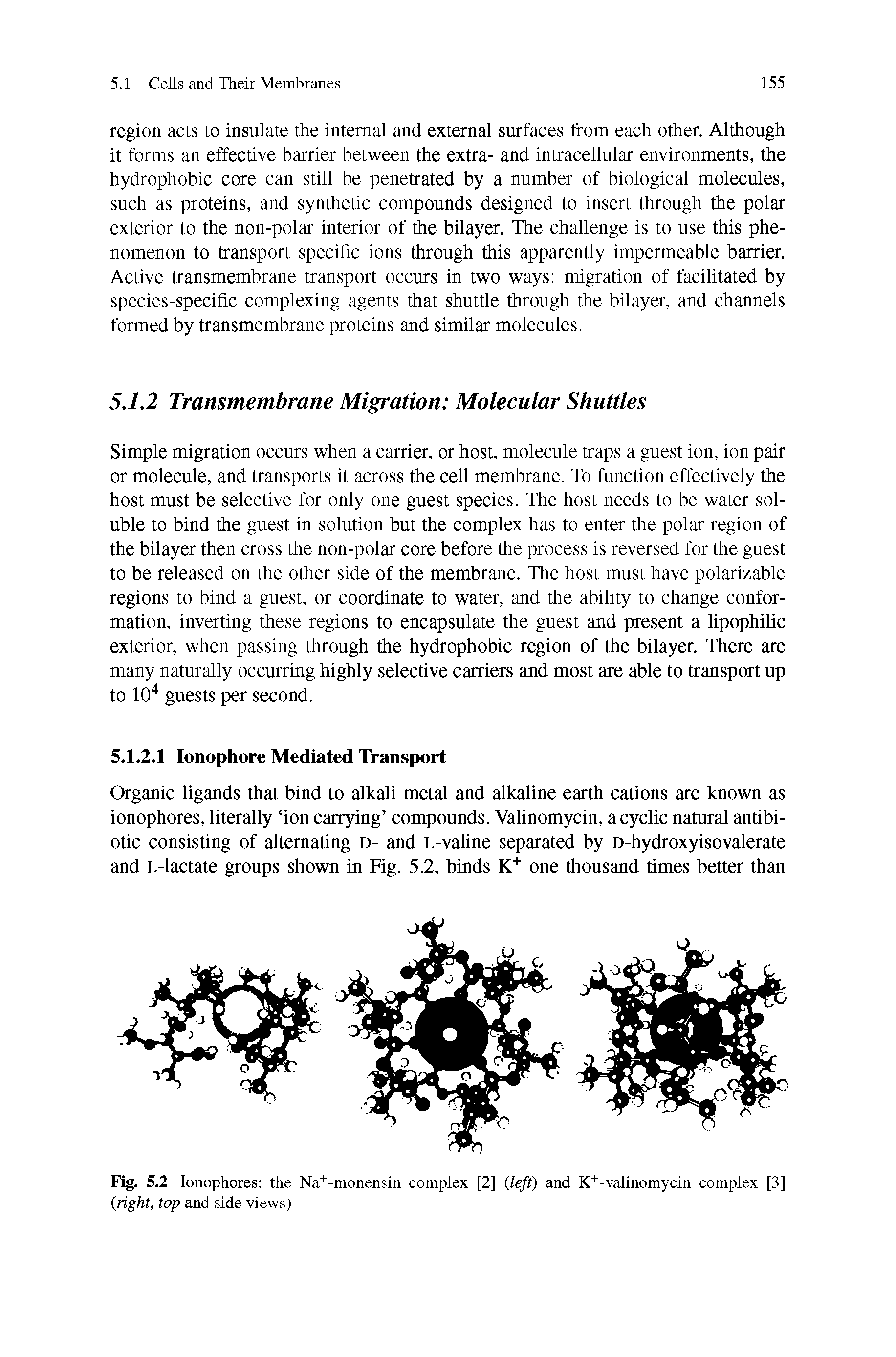 Fig. 5.2 Ionophores the Na+-monensin complex [2] left) and K+-valinomycin complex [3] right, top and side views)...