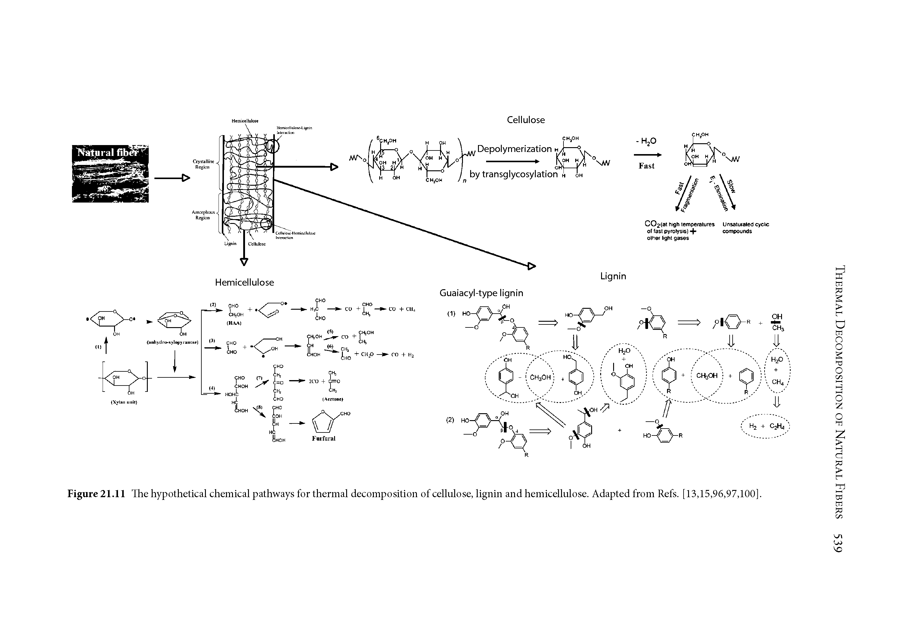 Figure 21.11 The hypothetical chemical pathways for thermal decomposition of cellulose, lignin and hemicellulose. Adapted from Refs. [13,15,96,97,100].