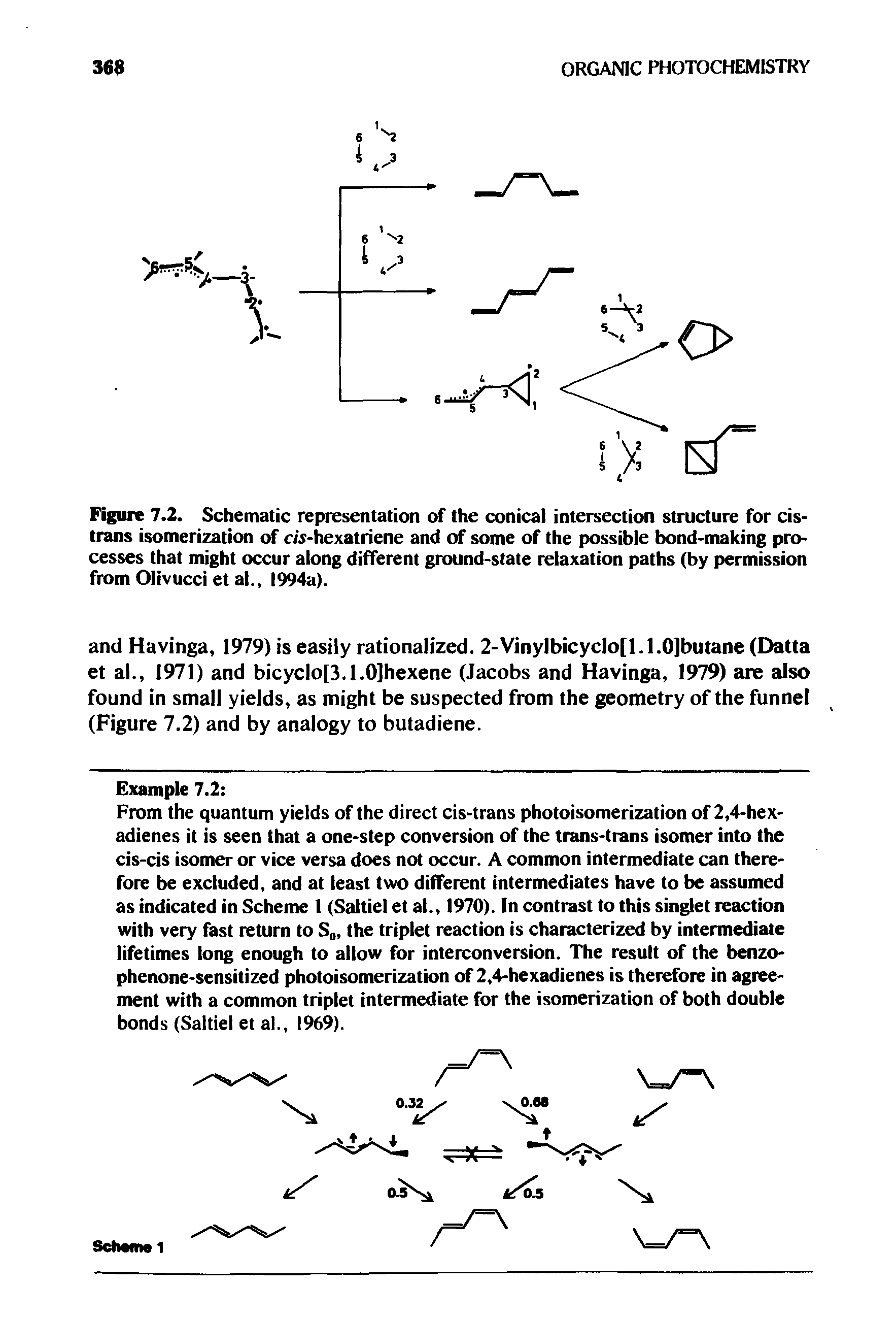 Figure 7.2. Schematic representation of the conical intersection structure for cis-trans isomerization of c -hexatriene and of some of the possible bond-making processes that might occur along different ground-state relaxation paths (by permission from Olivucci et al.. 1994a).