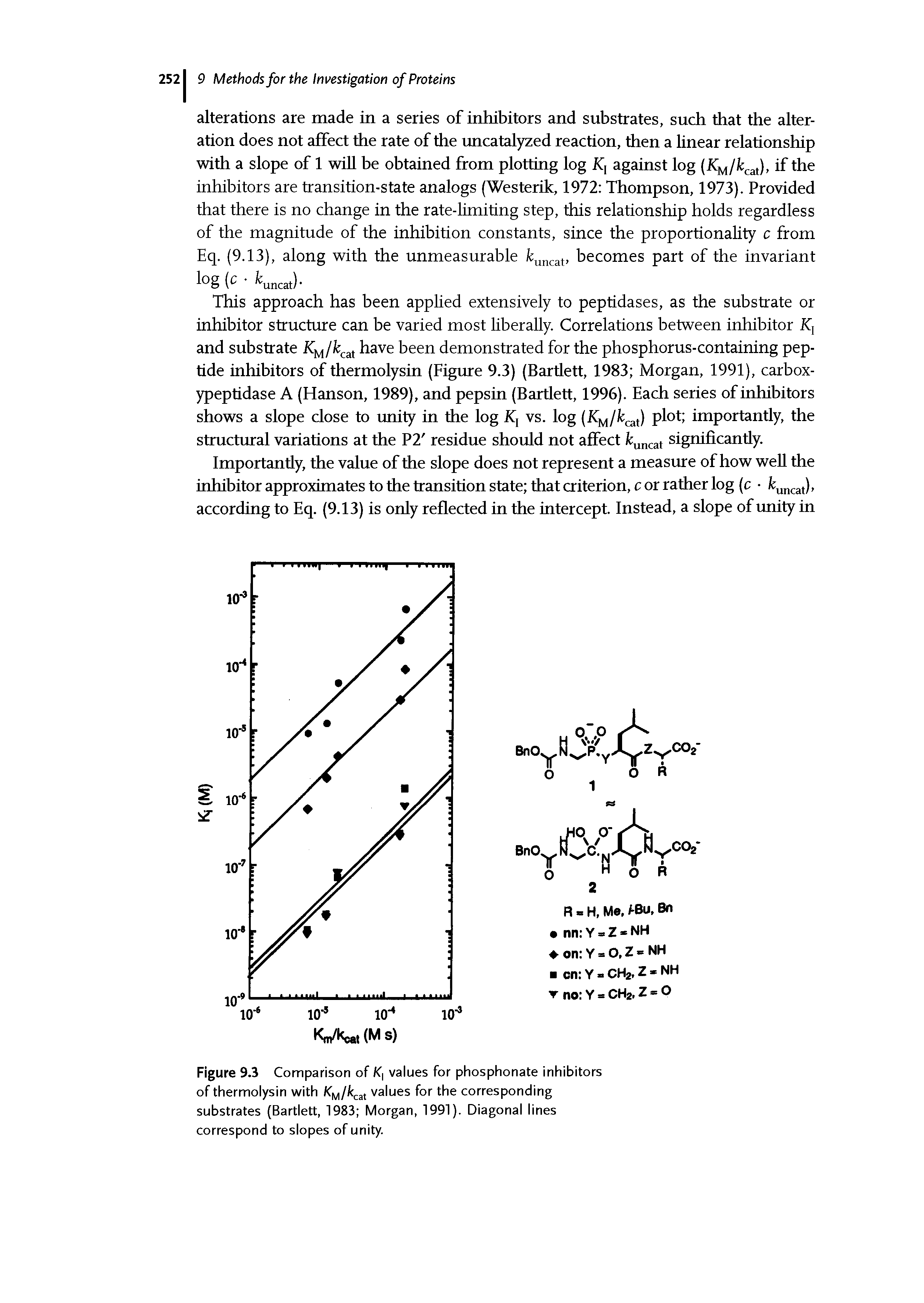 Figure 9.3 Comparison of K, values for phosphonate inhibitors of thermolysin with Kulkcat values for the corresponding substrates (Bartlett, 1983 Morgan, 1991). Diagonal lines correspond to slopes of unity.