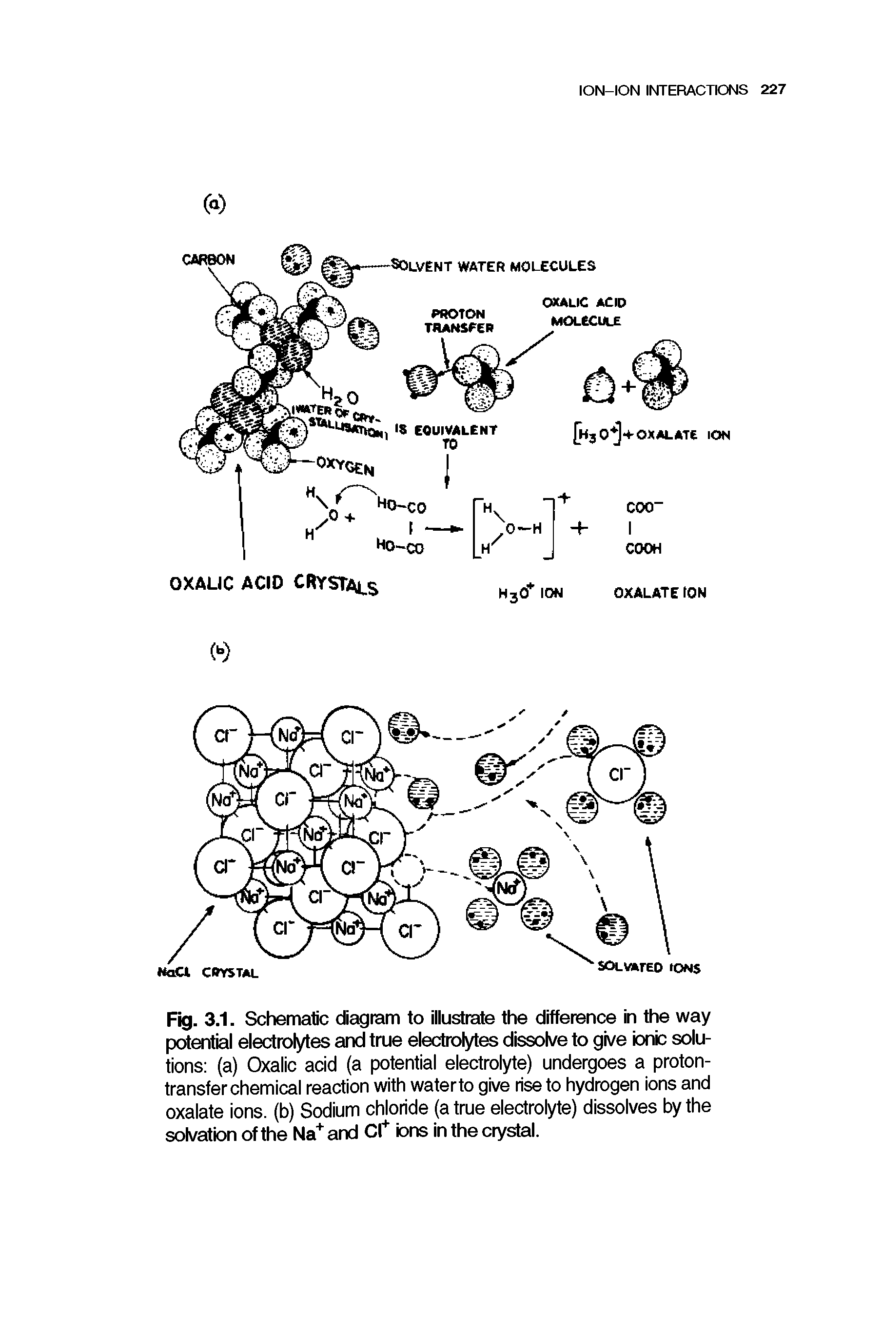 Fig. 3.1. Schematic diagnam to illustrate the difference in the way potential electrolytes and true electrolytes dissolve to give ionb solutions (a) Oxalic acid (a potential electrolyte) undergoes a proton-transfer chemical reaction with waterto give rise to hydrogen ions and oxalate ions, (b) Sodium chloride (a true electrolyte) dissolves by the solvation of the Na and Cl bns in the crystal.