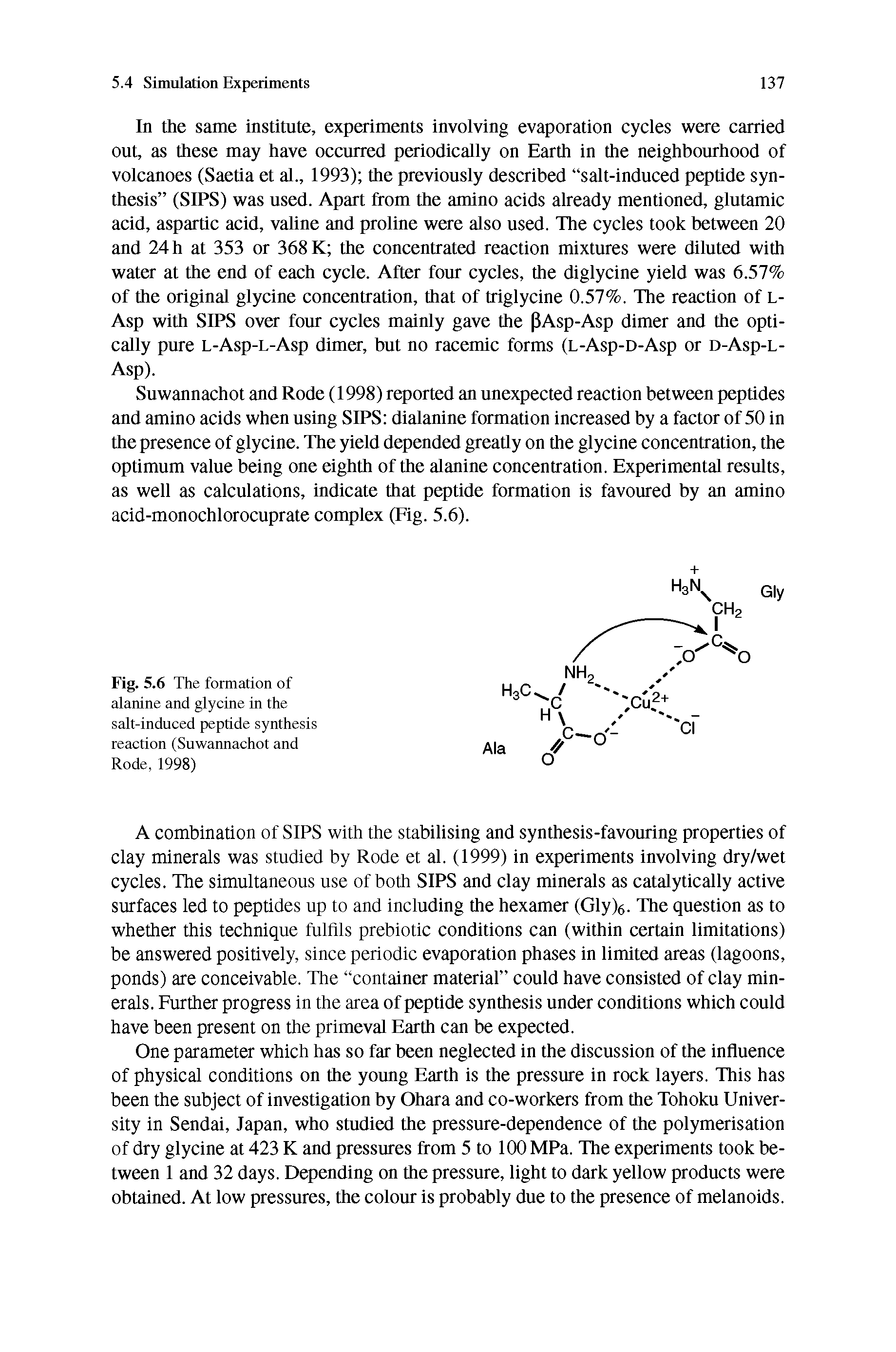 Fig. 5.6 The formation of alanine and glycine in the salt-induced peptide synthesis reaction (Suwannachot and Rode, 1998)...
