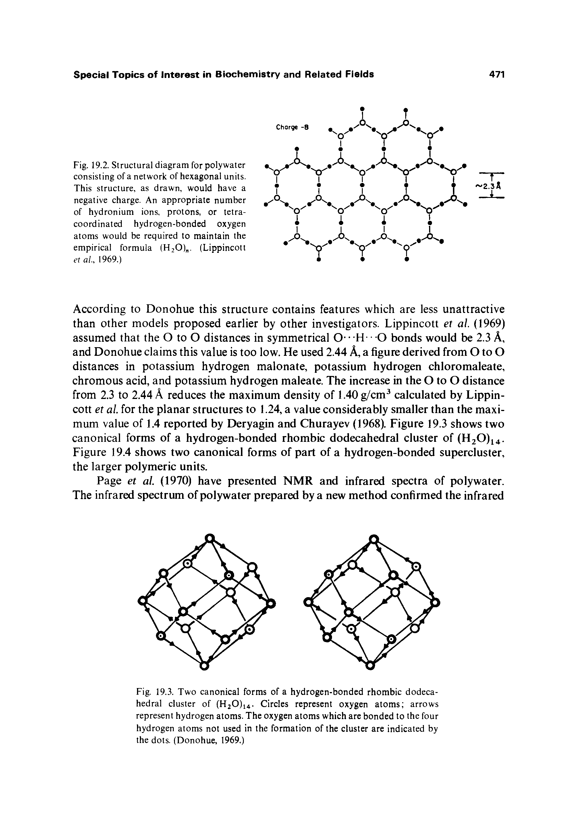Fig. 19.2. Structural diagram for polywater consisting of a network of hexagonal units. This structure, as drawn, would have a negative charge. An appropriate number of hydronium ions, protons, or tetra-coordinated hydrogen-bonded oxygen atoms would be required to maintain the empirical formula (HjO),. (Lippincott et aU 1969.)...