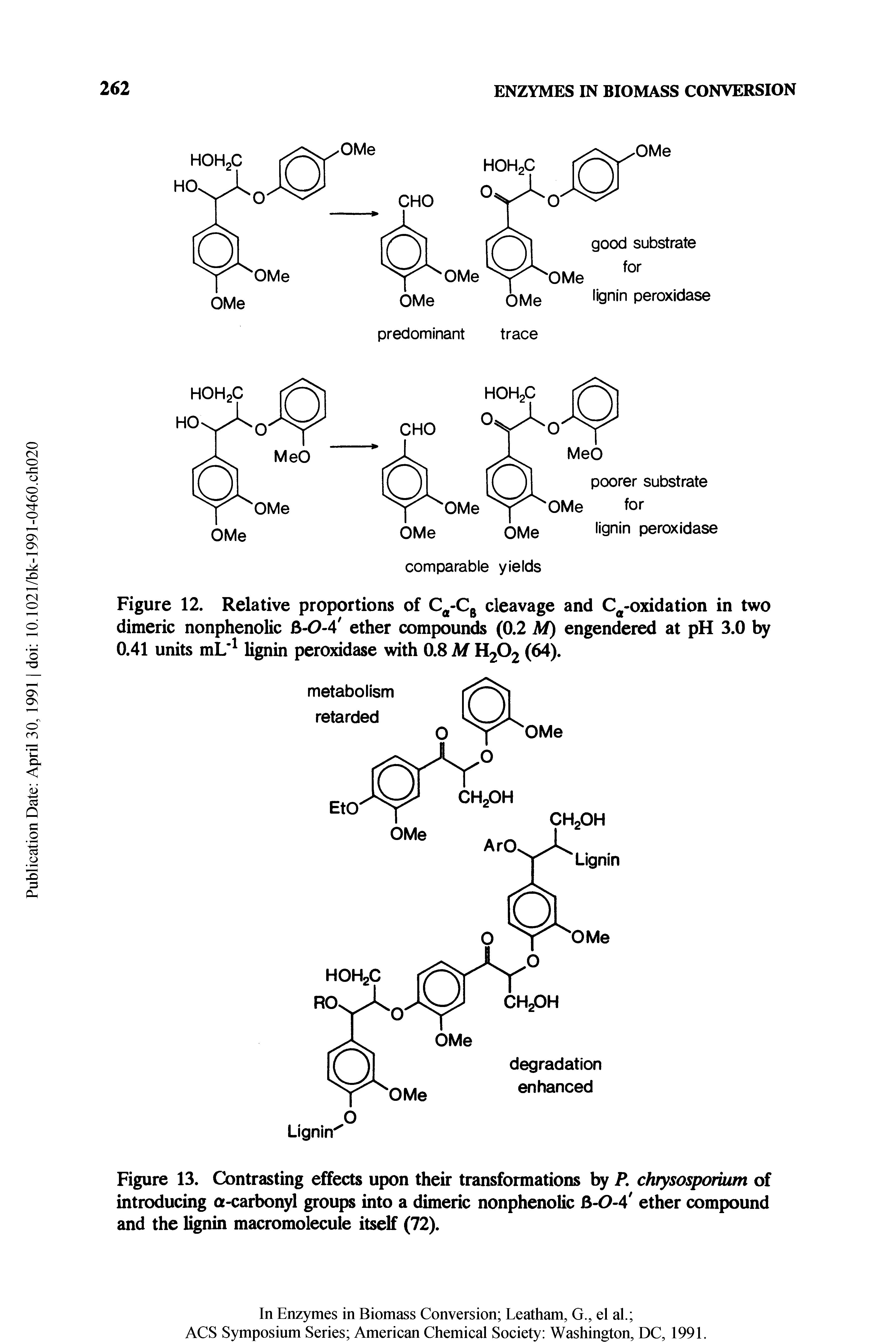Figure 13. Contrasting effects upon their transformations by P. chrysosporium of introducing a-carbonyl groups into a dimeric nonphenolic 3-0-4 ether compound and the lignin macromolecule itself (72).