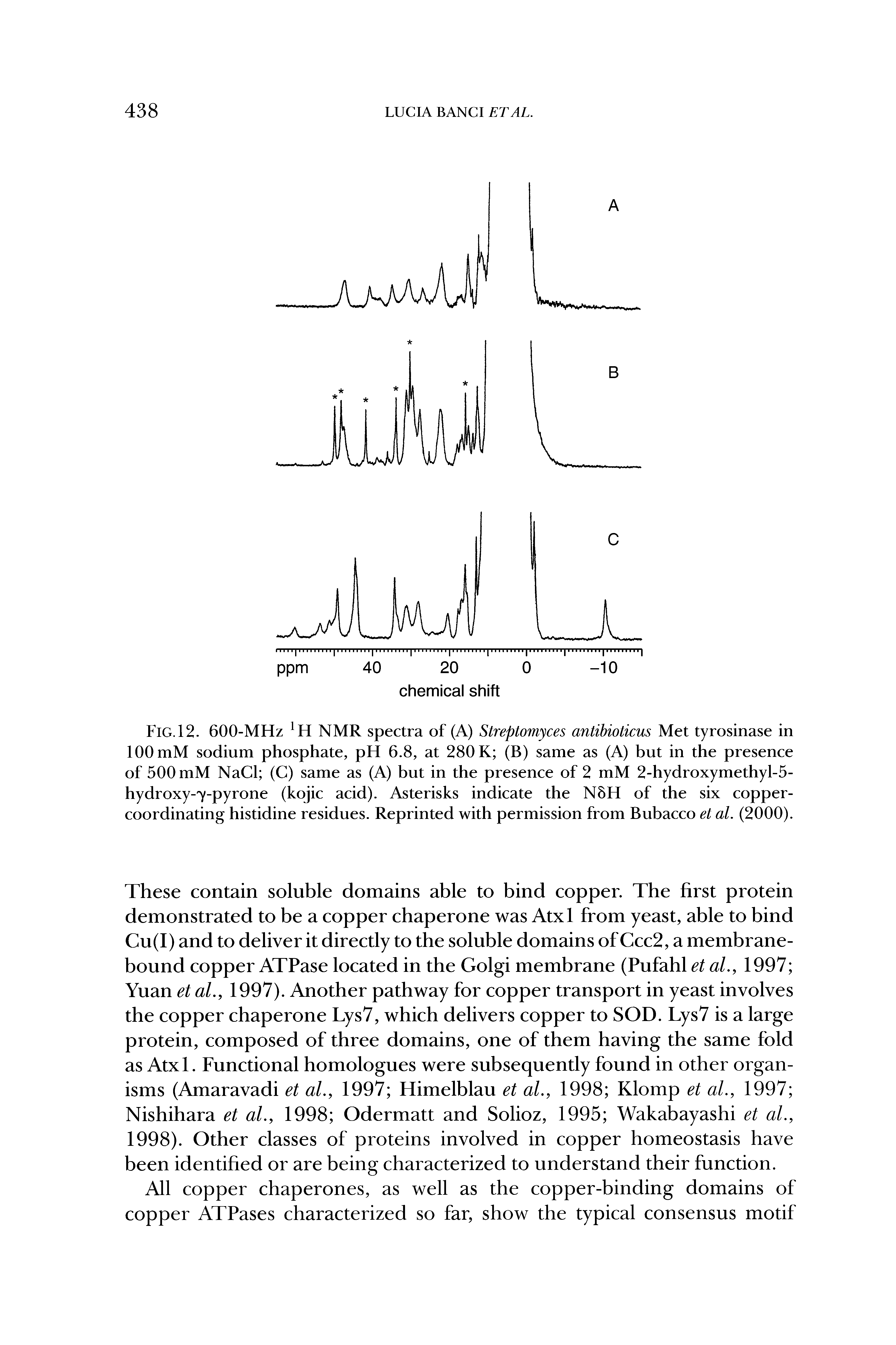 Fig. 12. 600-MHz NMR spectra of (A) Streptomyces antibioticus Met tyrosinase in 100 mM sodium phosphate, pH 6.8, at 280 K (B) same as (A) but in the presence of 500 mM NaCl (C) same as (A) but in the presence of 2 mM 2-hydroxymethyl-5-hydroxy-y-pyrone (kojic acid). Asterisks indicate the N8H of the six coppercoordinating histidine residues. Reprinted with permission from Bubacco et al. (2000).