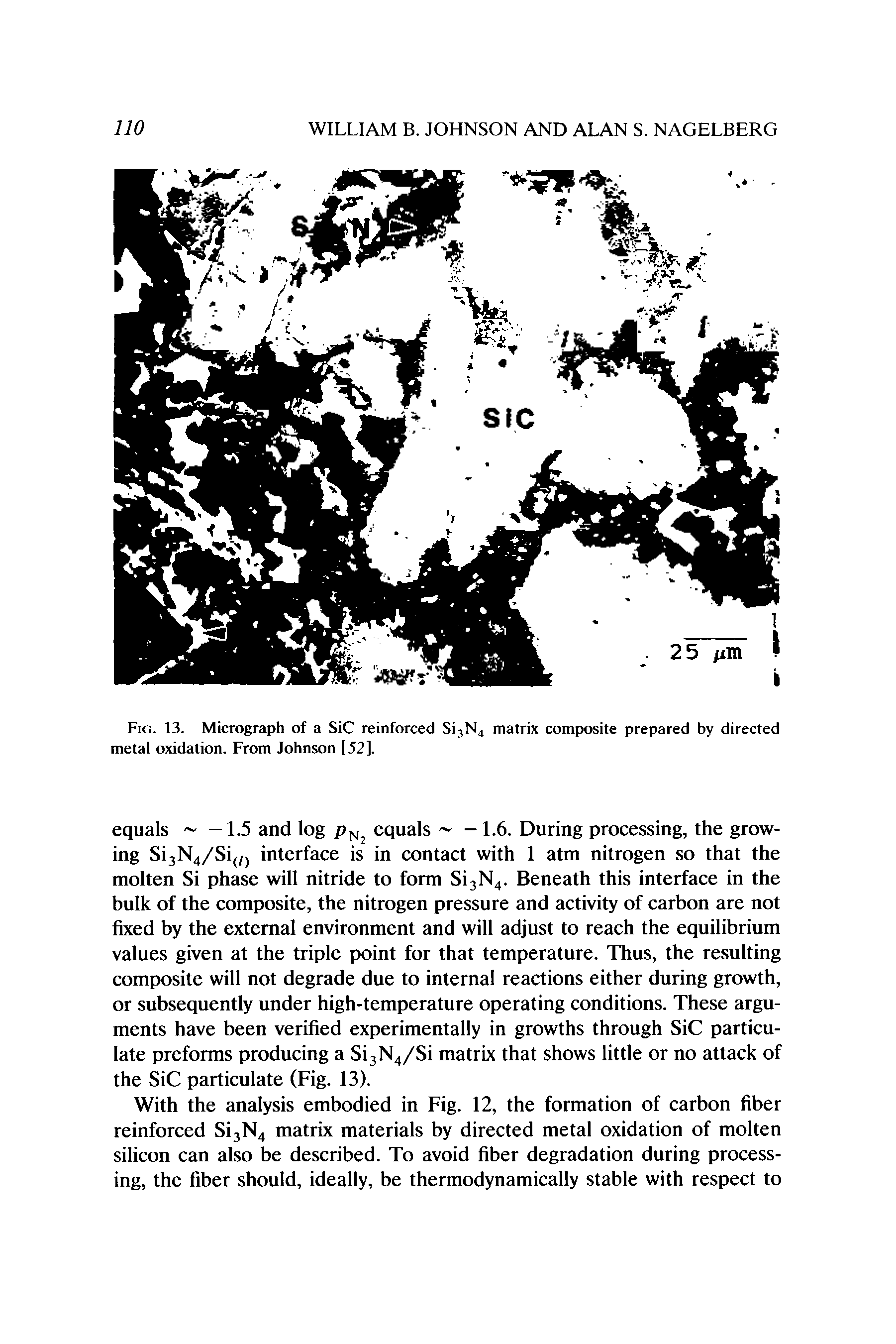 Fig. 13. Micrograph of a SiC reinforced Si, N4 matrix composite prepared by directed metal oxidation. From Johnson [52].