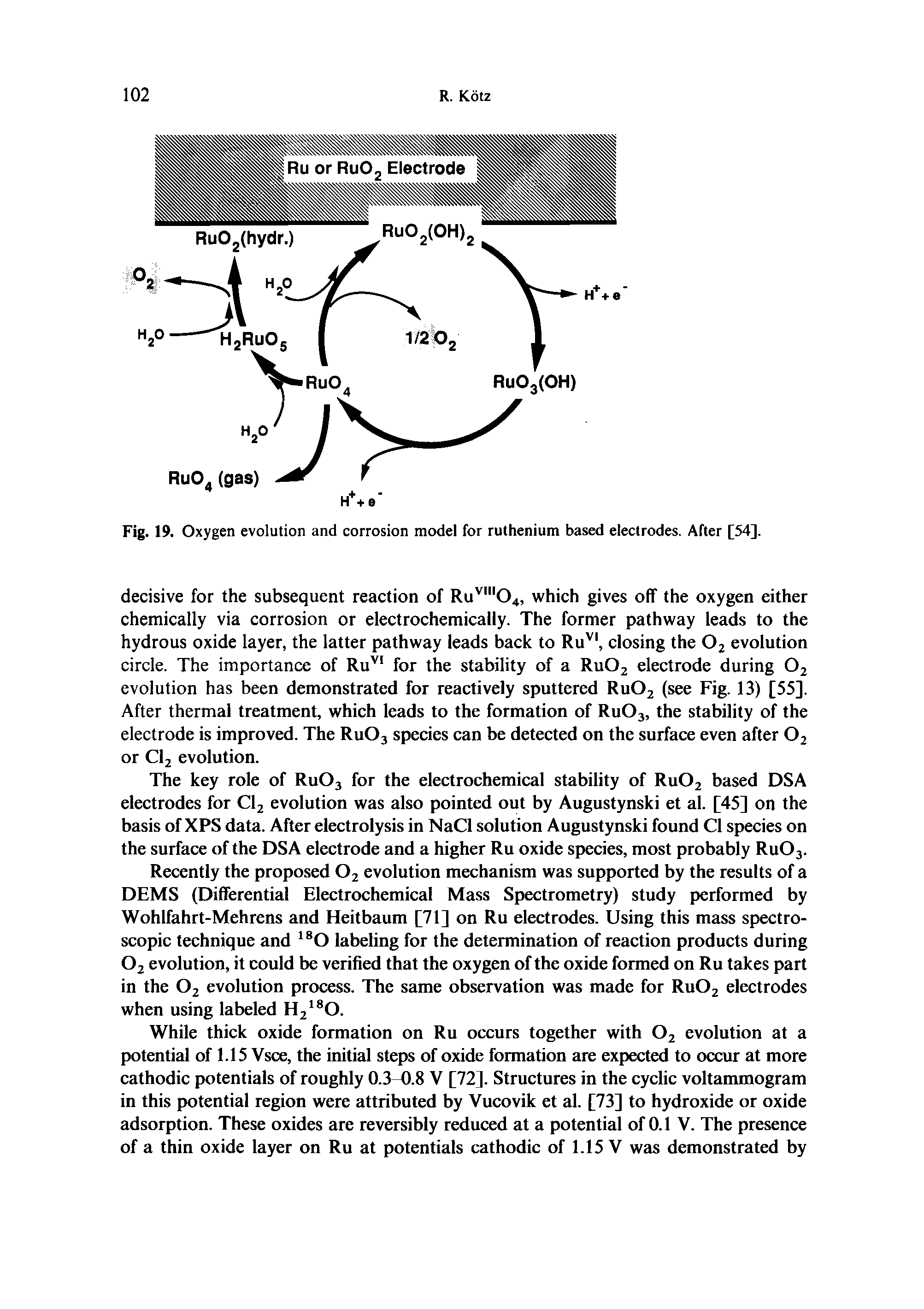 Fig. 19. Oxygen evolution and corrosion model for ruthenium based electrodes. After [54].