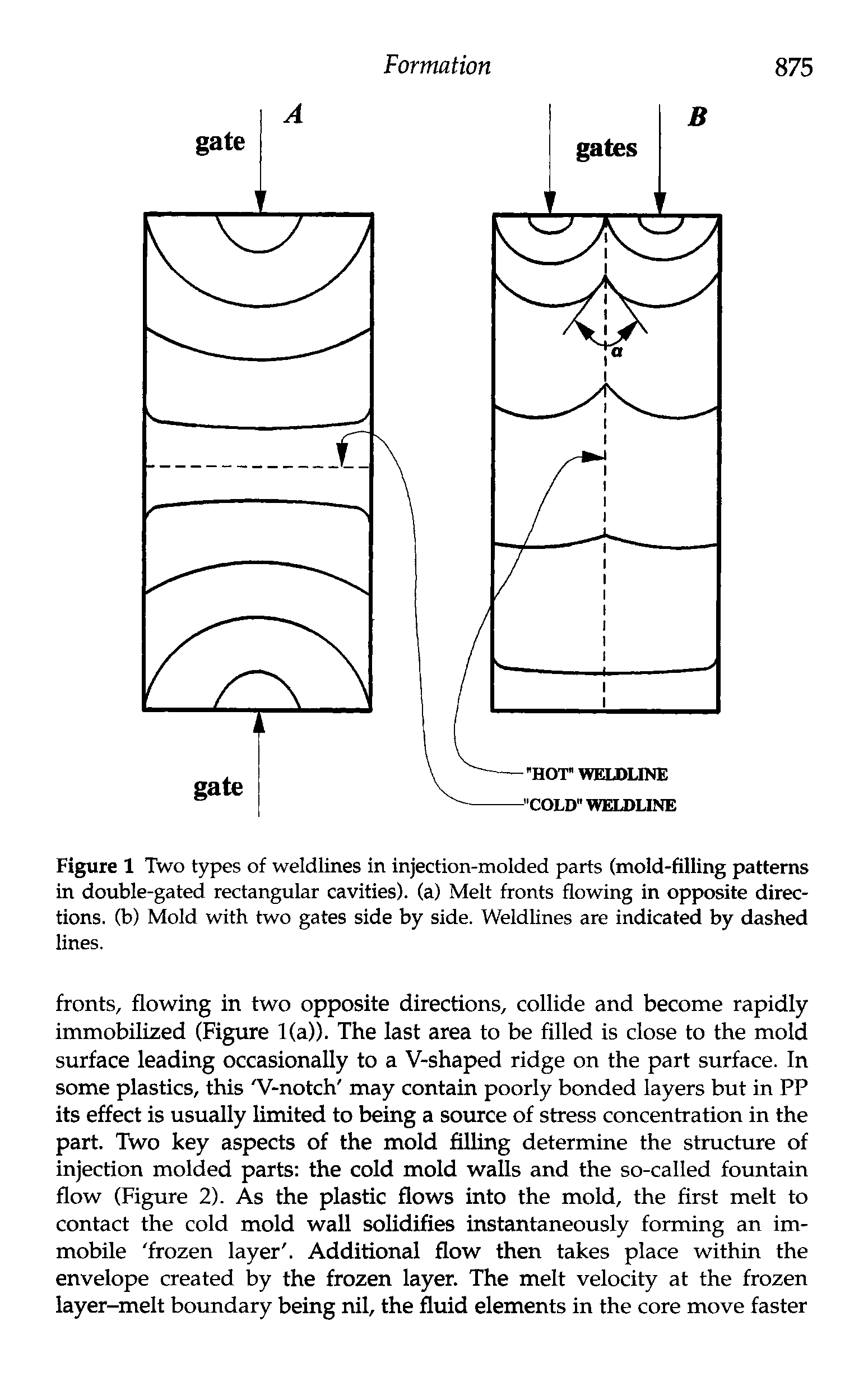 Figure 1 Two types of weldlines in injection-molded parts (mold-filling patterns in double-gated rectangular cavities), (a) Melt fronts flowing in opposite directions. (b) Mold with two gates side by side. Weldlines are indicated by dashed lines.