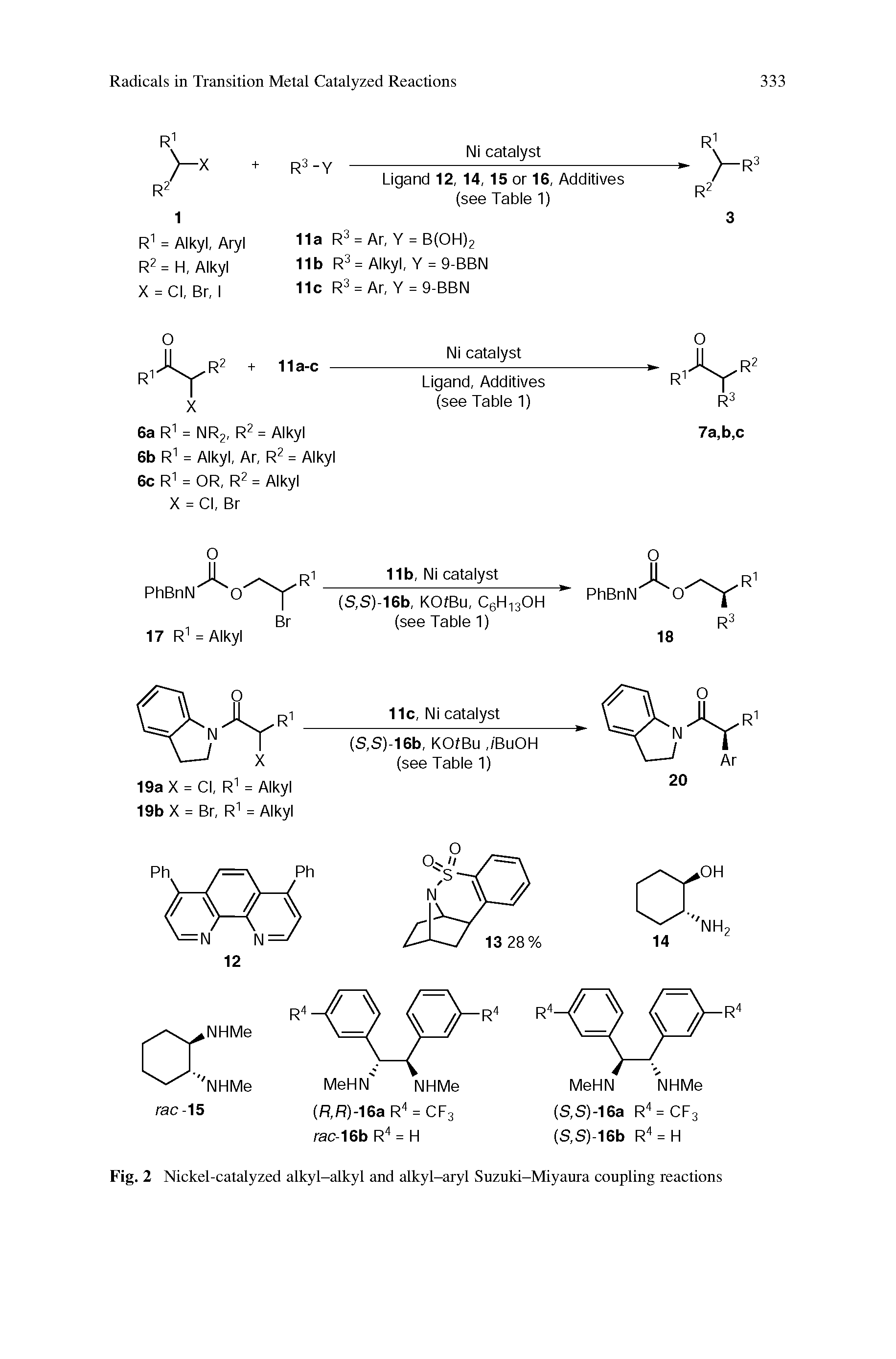 Fig. 2 Nickel-catalyzed alkyl-alkyl and alkyl-aryl Suzuki-Miyaura coupling reactions...