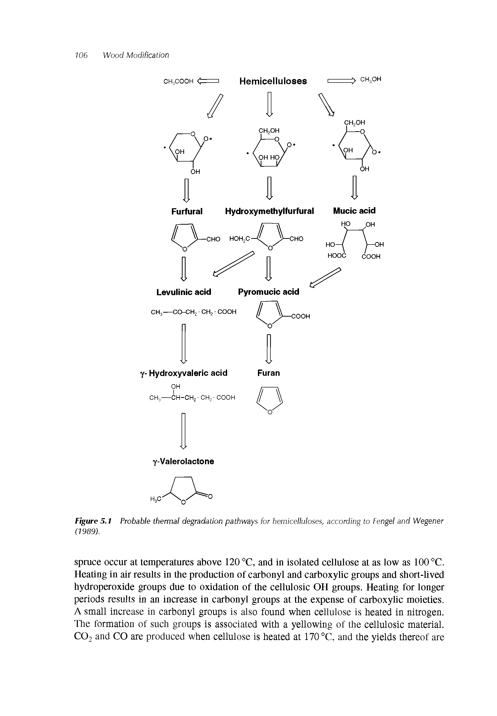 Figure 5.1 Probable thermal degradation pathways for hemicelluloses, according to Fengel and Wegener (1989).