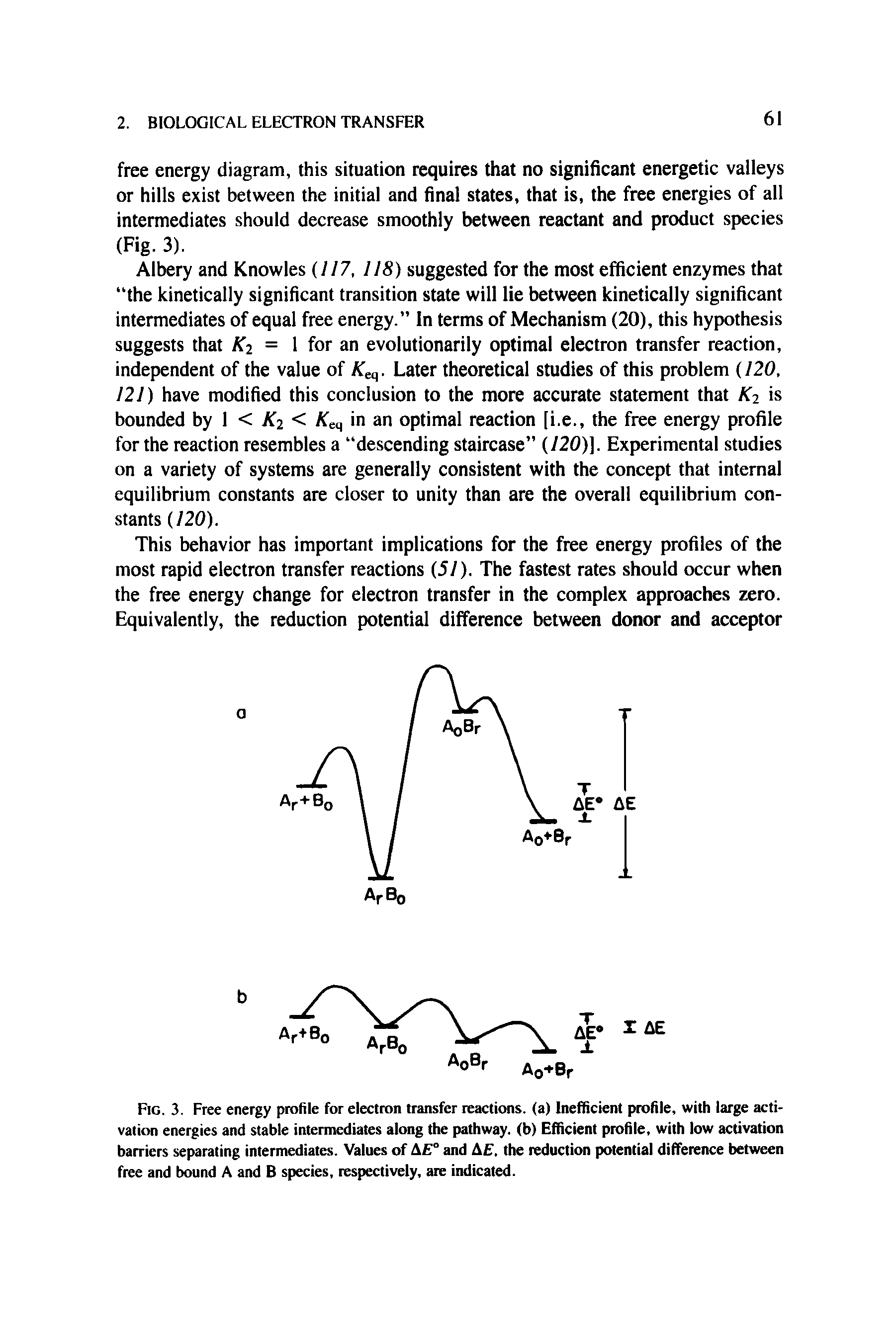 Fig. 3. Free energy profile for electron transfer reactions, (a) Inefficient profile, with large activation energies and stable intermediates along the pathway, (b) Efficient profile, with low activation barriers separating intermediates. Values of E° and A , the reduction potential difference between free and bound A and B species, respectively, are indicated.