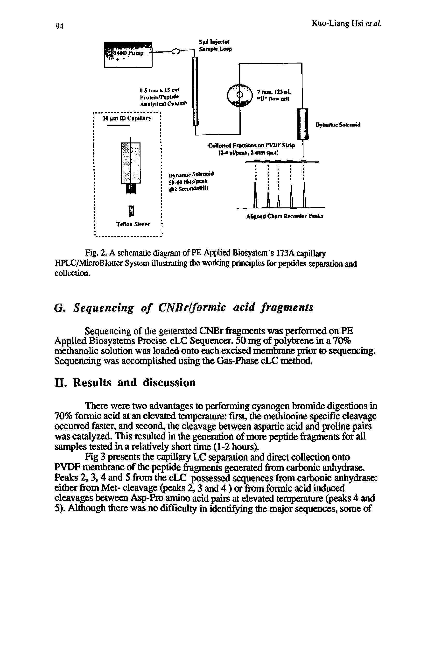 Fig. 2. A schematic diagram of PE Applied Biosystem s 173A capillary HPLC/MicroBlotter System illustrating the woiidng principles for peptides separation and collection.