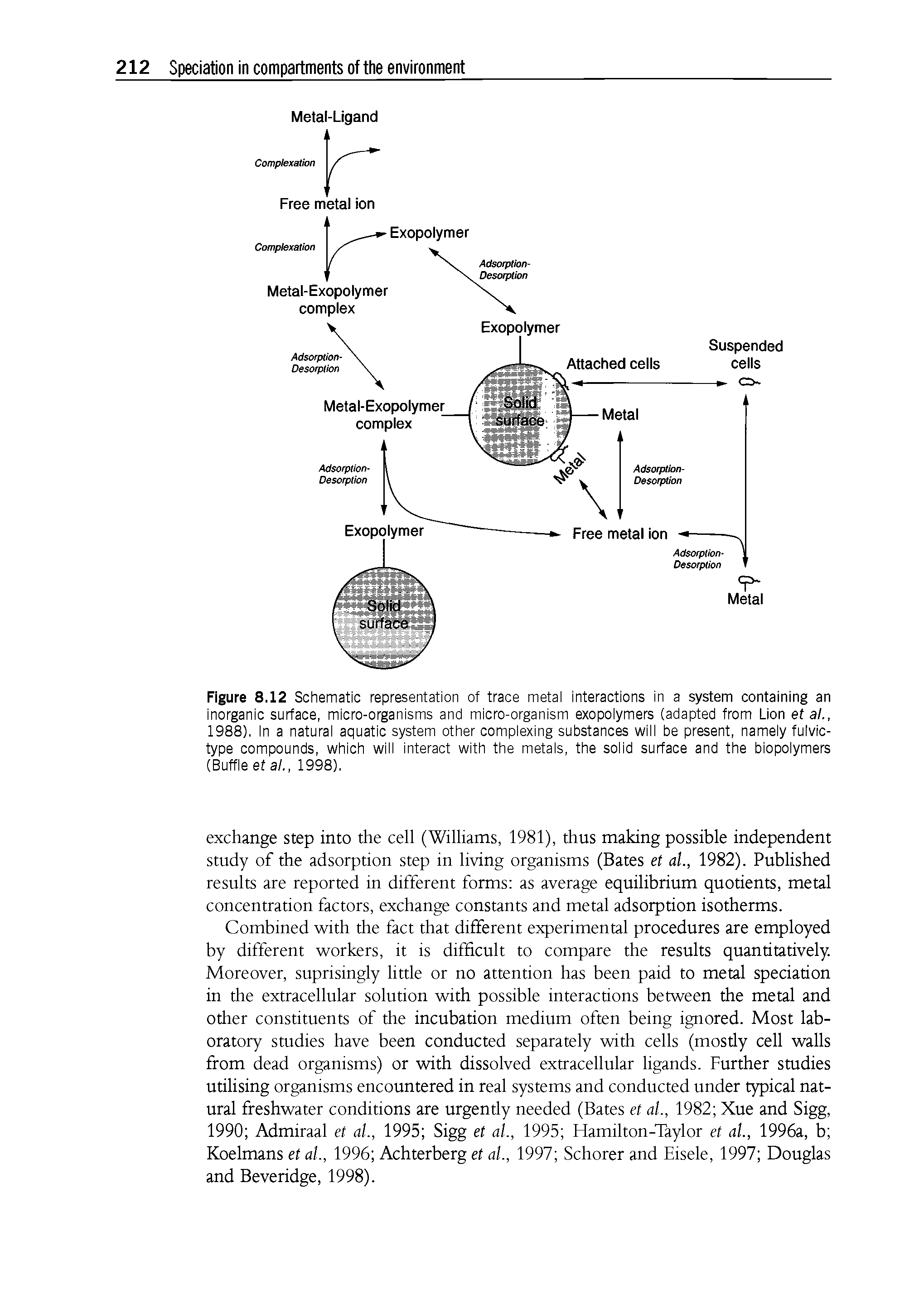 Figure 8.12 Schematic representation of trace metal interactions in a system containing an inorganic surface, micro-organisms and micro-organism exopolymers (adapted from Lion eta/., 1988). In a natural aquatic system other complexing substances will be present, namely fulvic-type compounds, which will interact with the metals, the solid surface and the biopolymers (Buffi eetal., 1998).